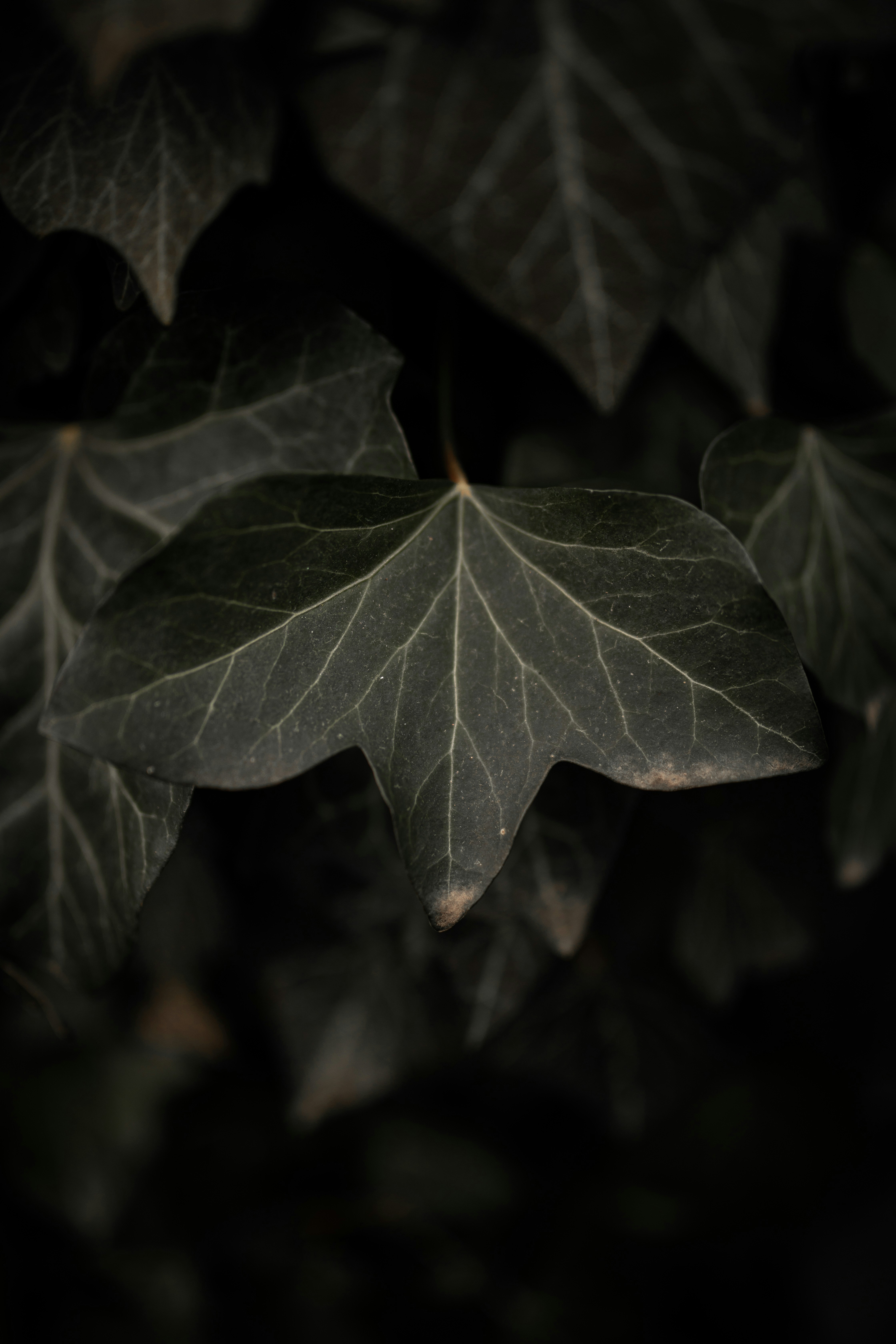 Photo by kajareichardtphotos