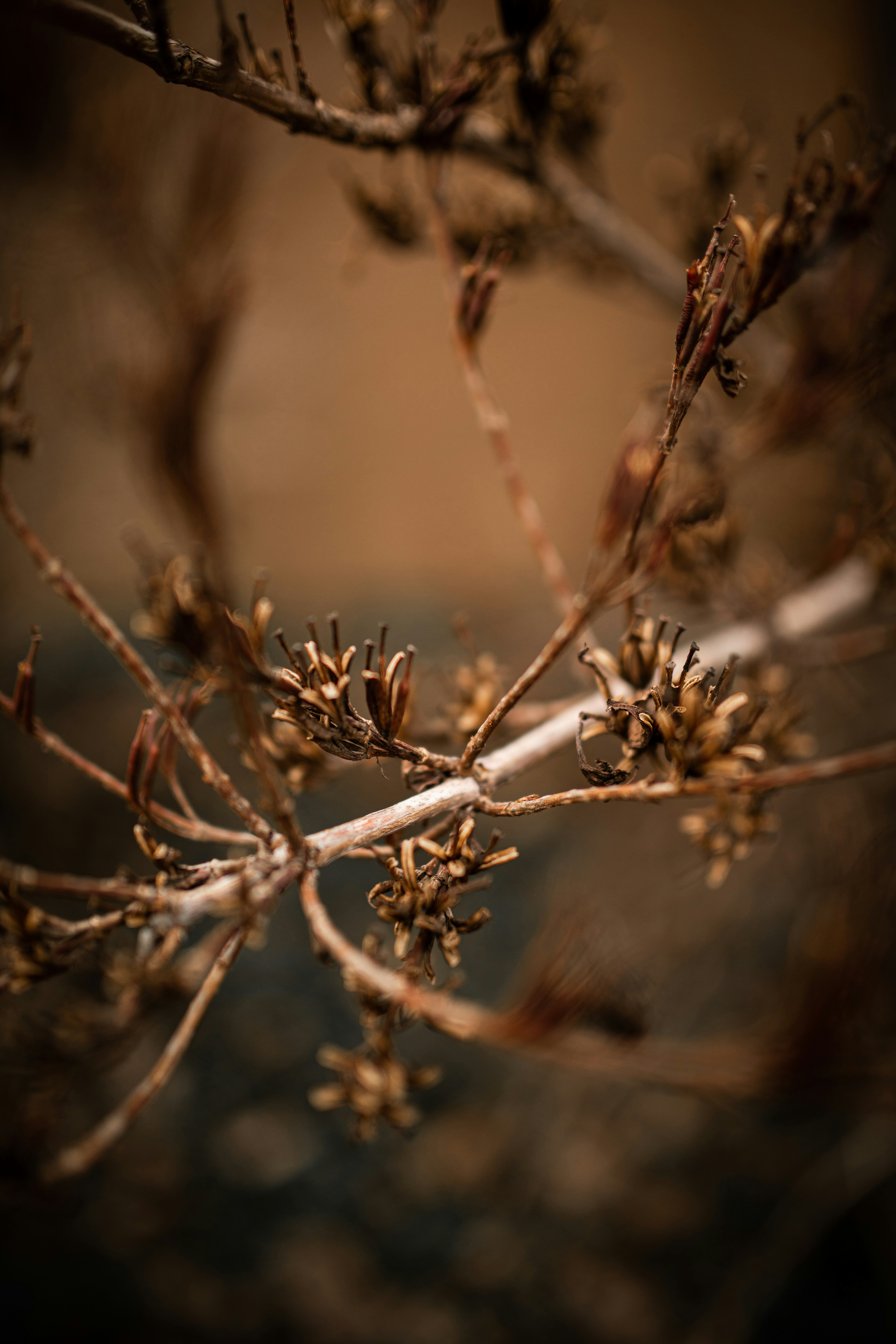 Photo by kajareichardtphotos