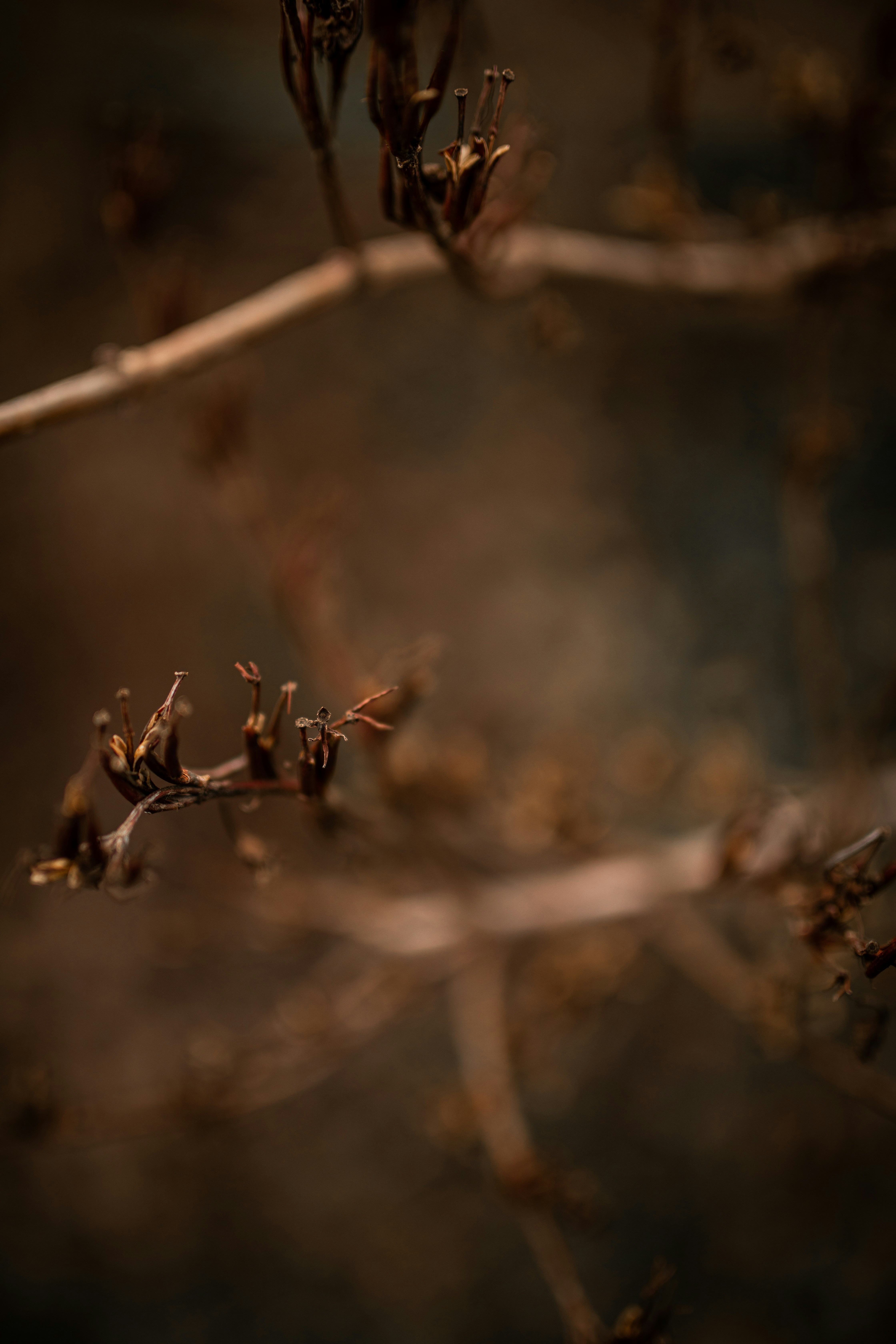 Photo by kajareichardtphotos