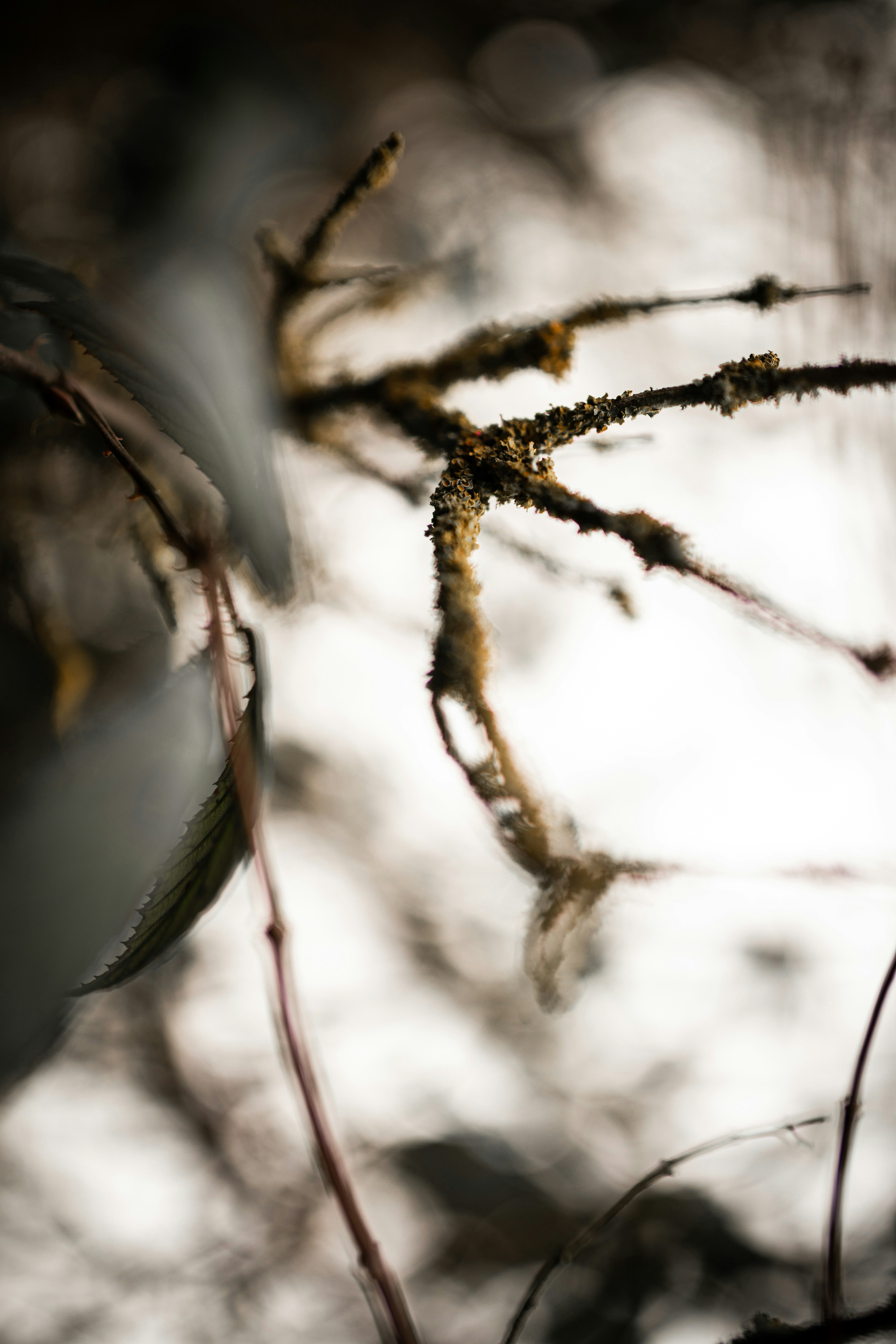 Photo by kajareichardtphotos