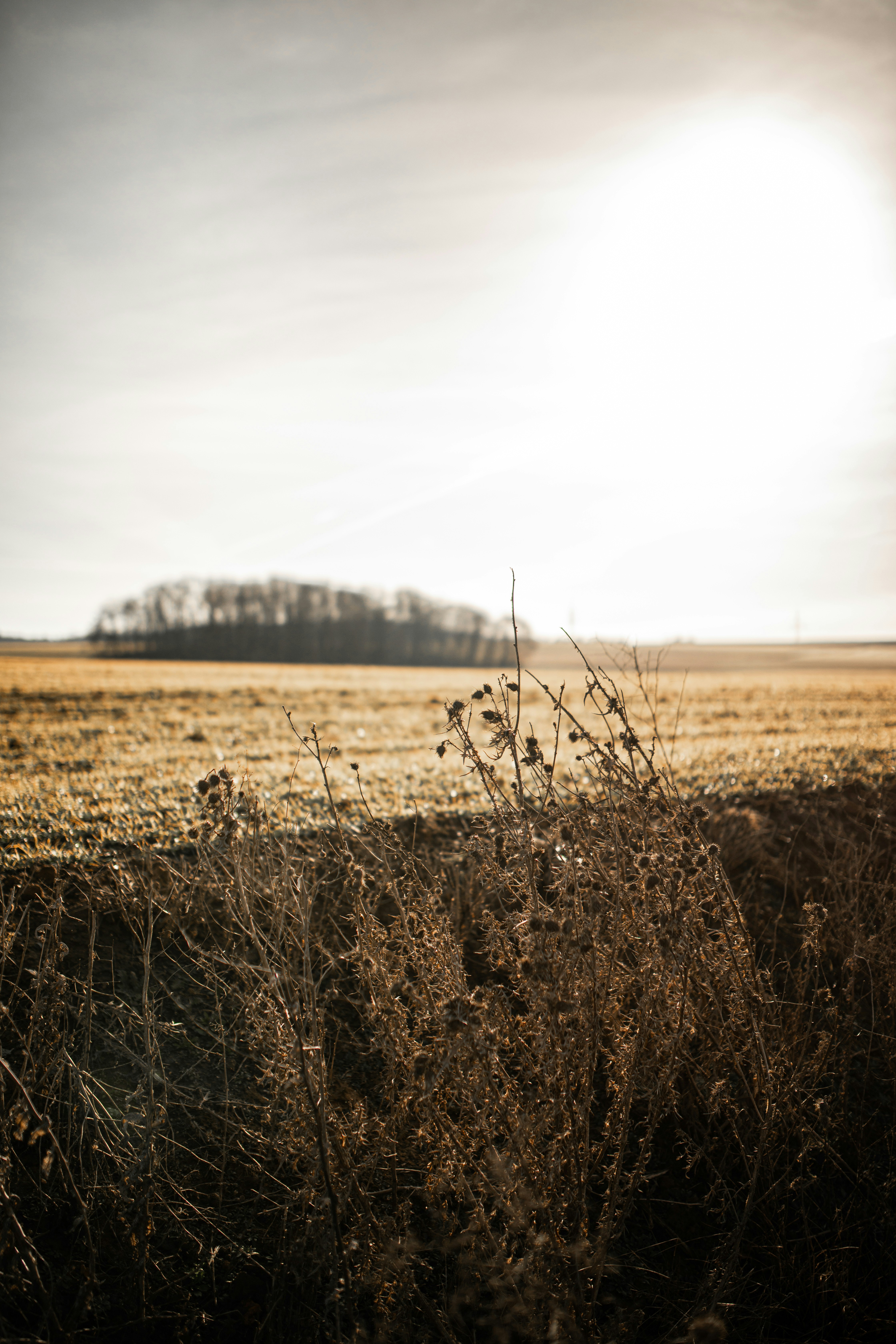 Photo by kajareichardtphotos