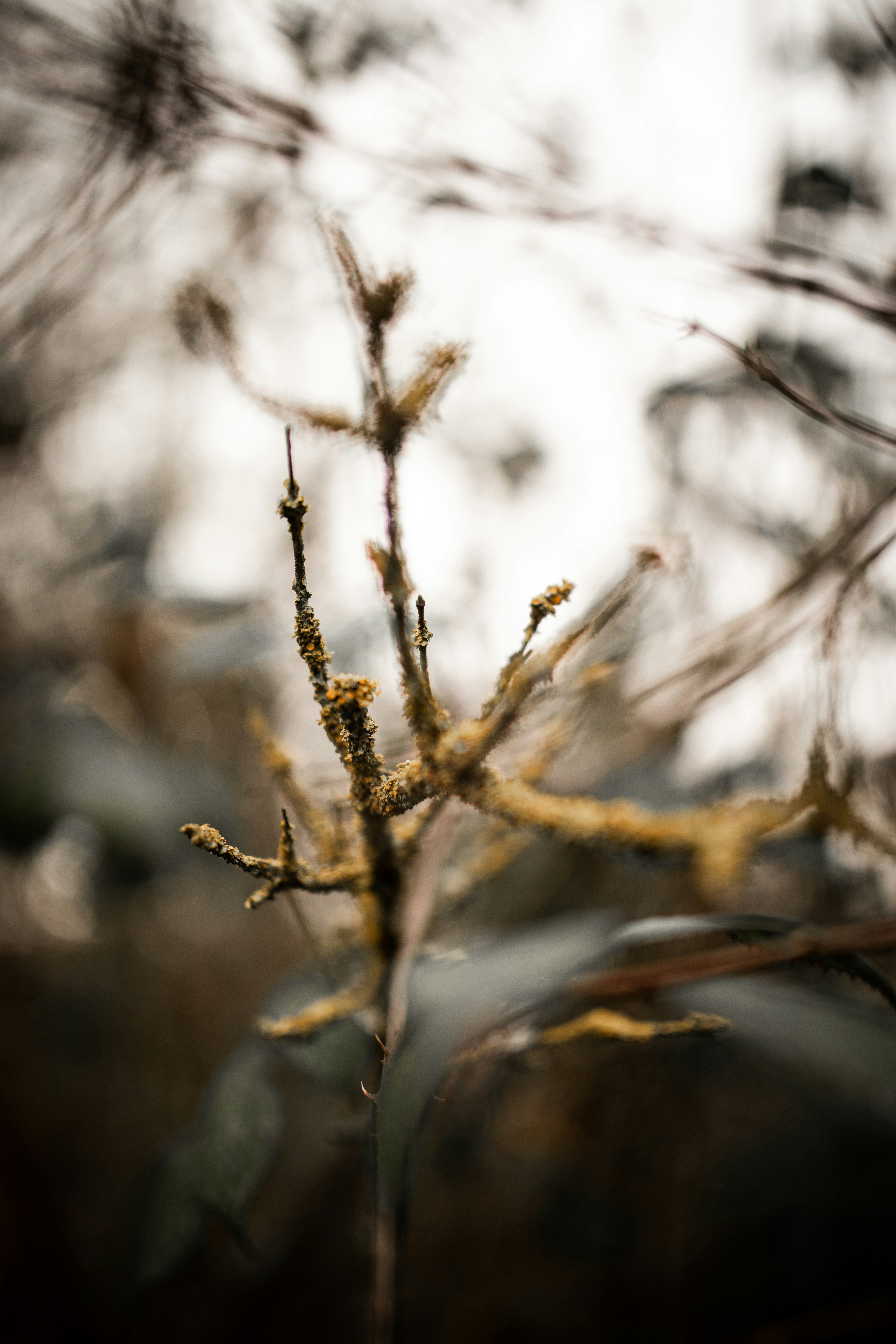 Photo by kajareichardtphotos