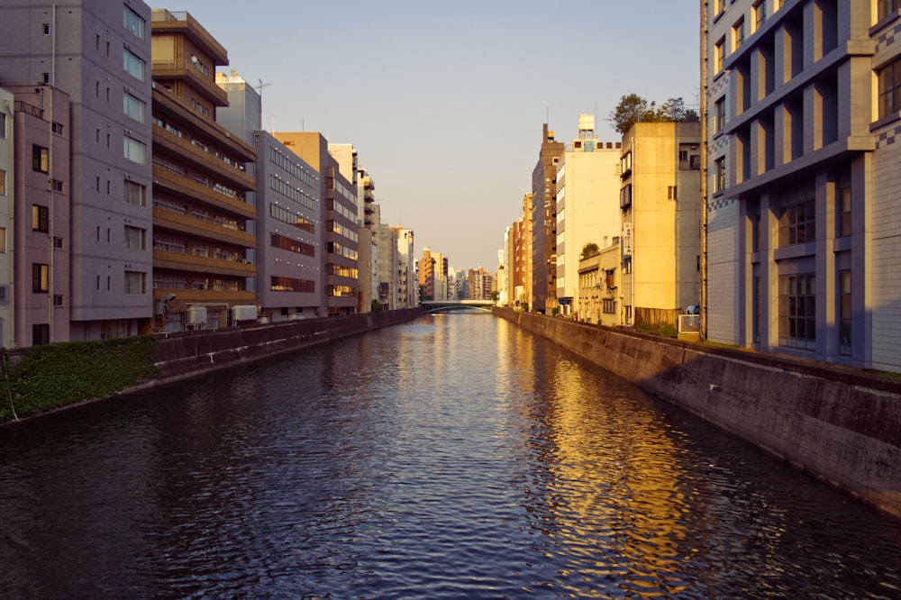 Ein Fluss, der durch eine Stadt fließt, neben hohen Gebäuden