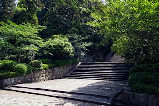brown wooden bridge over green trees