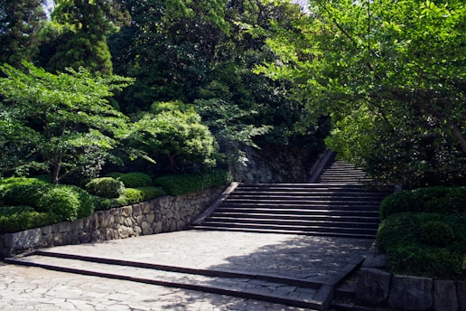 brown wooden bridge over green trees