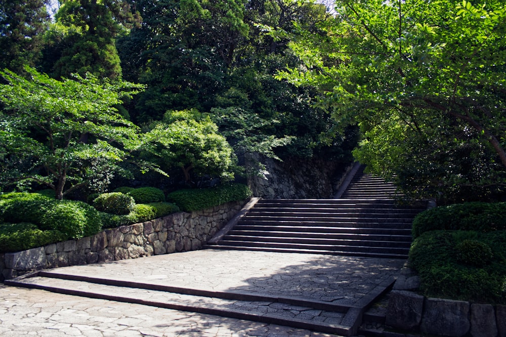 brown wooden bridge over green trees