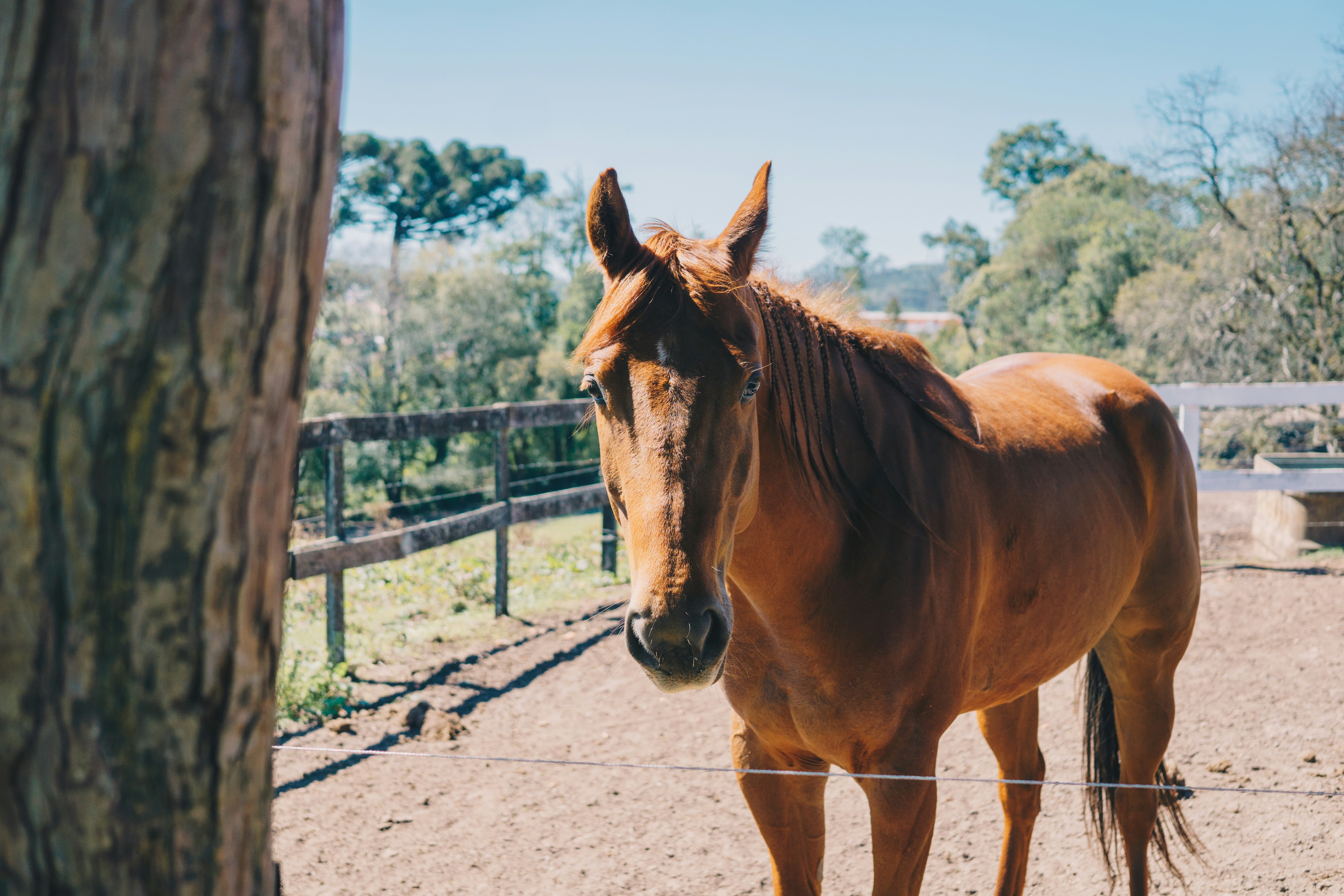 Photo by wesleycfilms