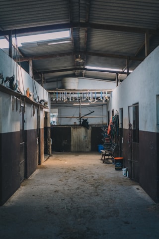 A dimly lit stable interior with multiple stalls on either side. The ceiling is made of metal with some natural light filtering through gaps. Various equestrian equipment such as bridles and reins hang along the walls. In the center at the far end is a wooden door and various tools and items are scattered near it.