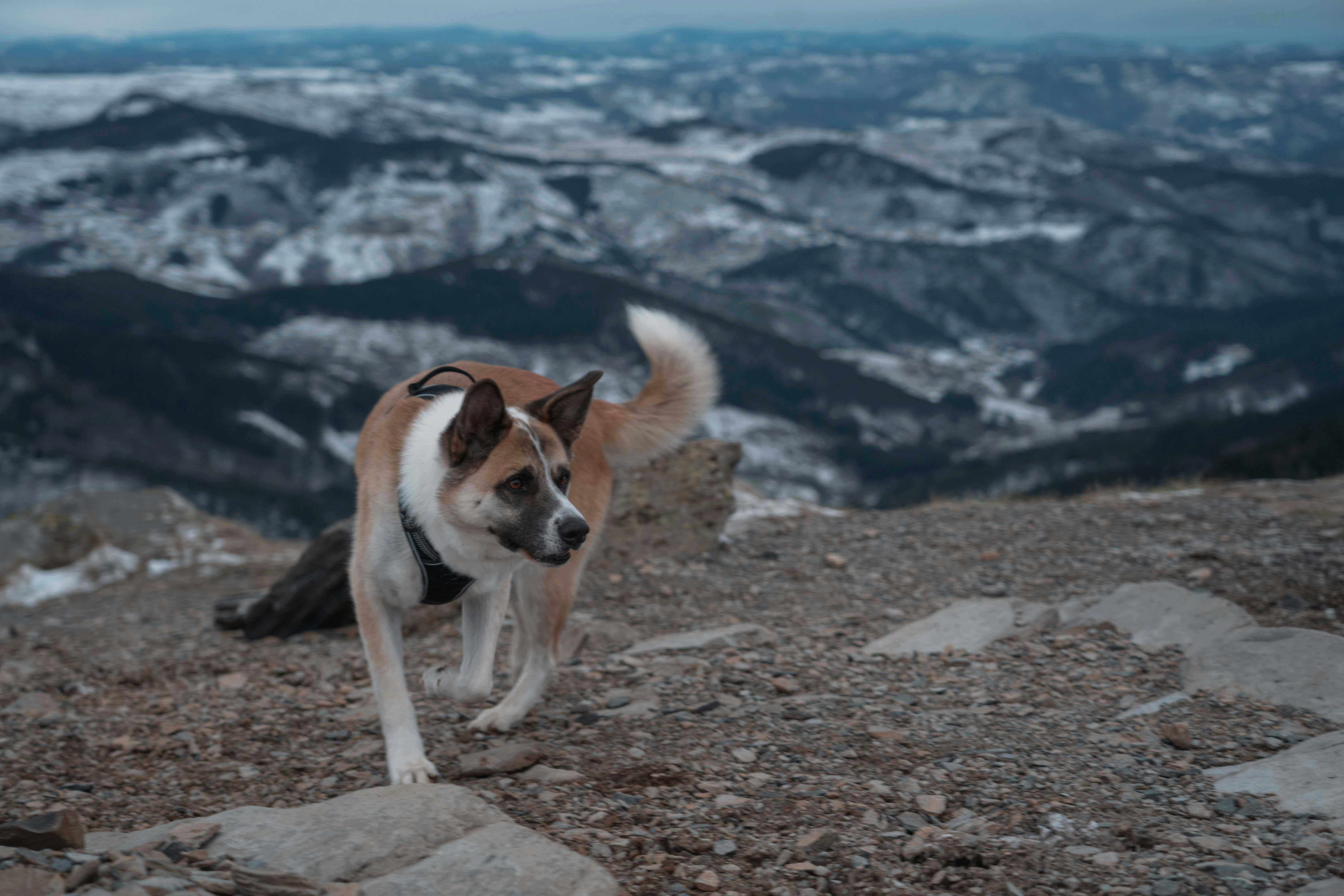 Photo by benjaminggnt