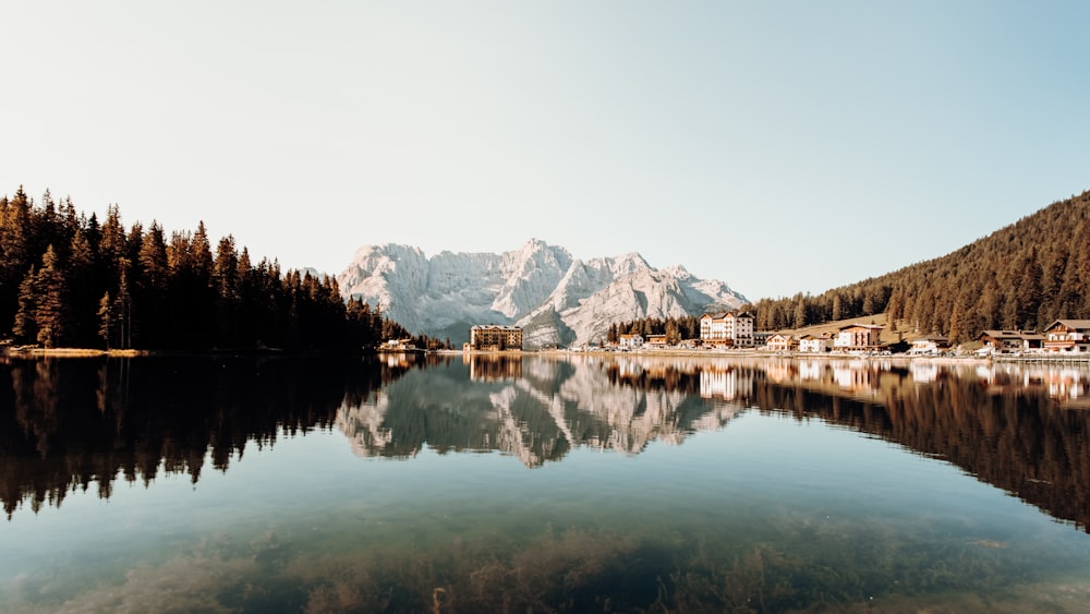 body of water near trees and mountain during daytime