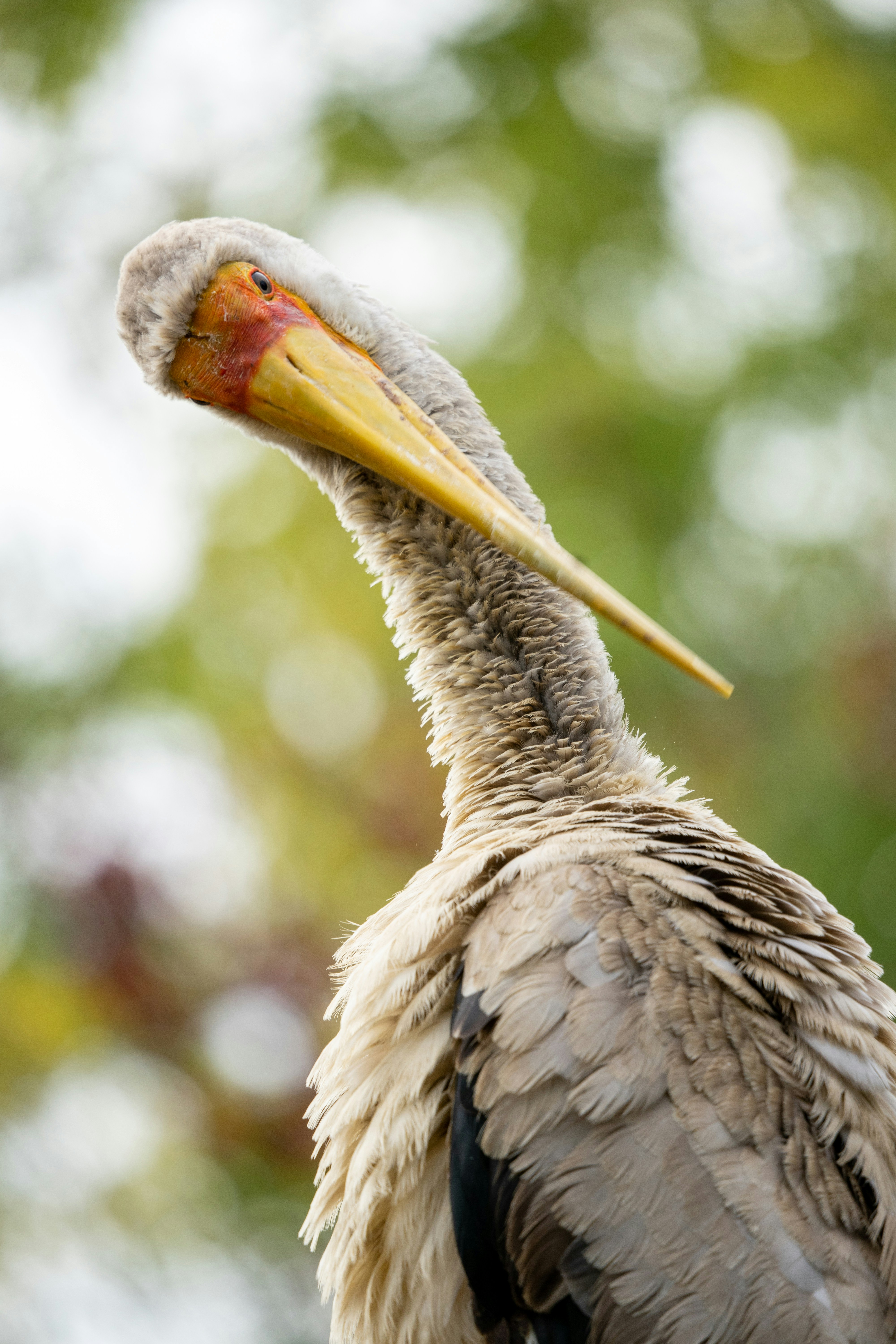 Photo by arne_verbist