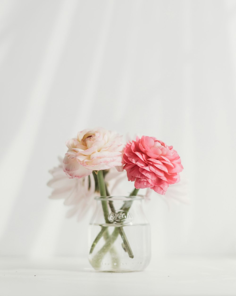 pink roses in clear glass vase