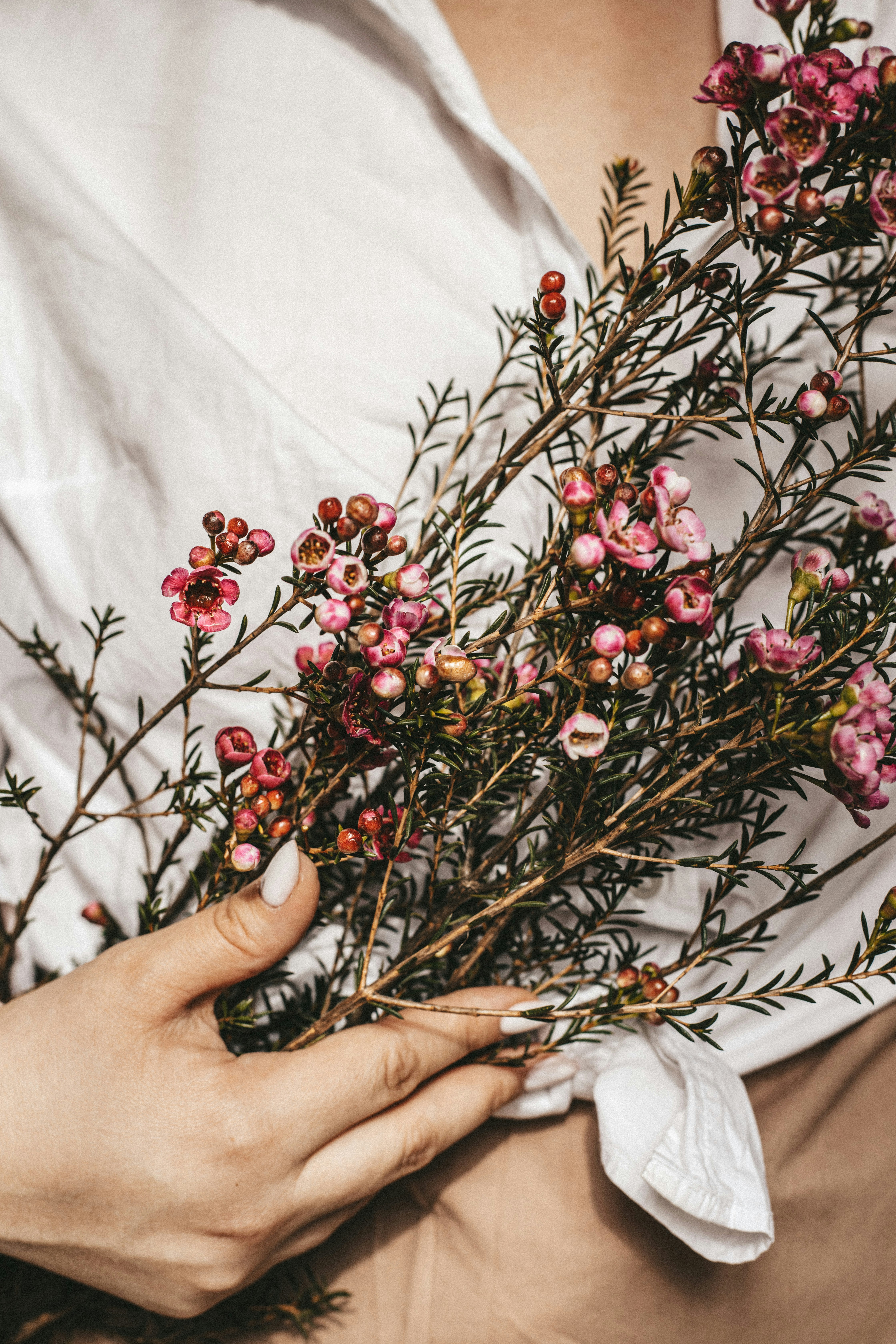 🌺 Silent Hellebore