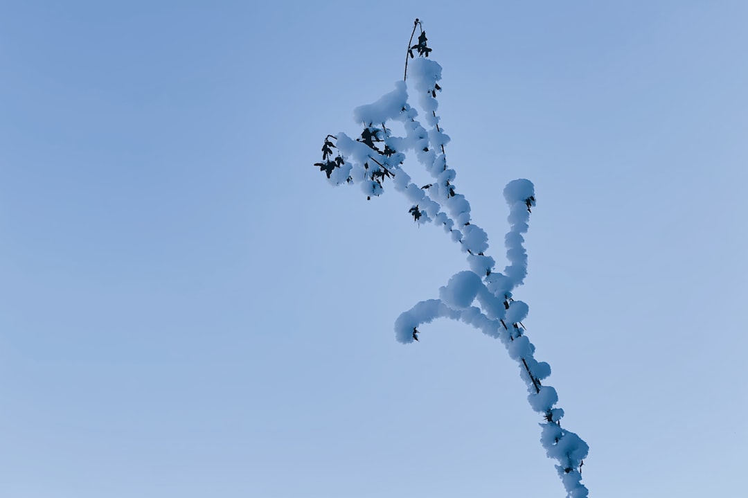 white and purple smoke under blue sky during daytime