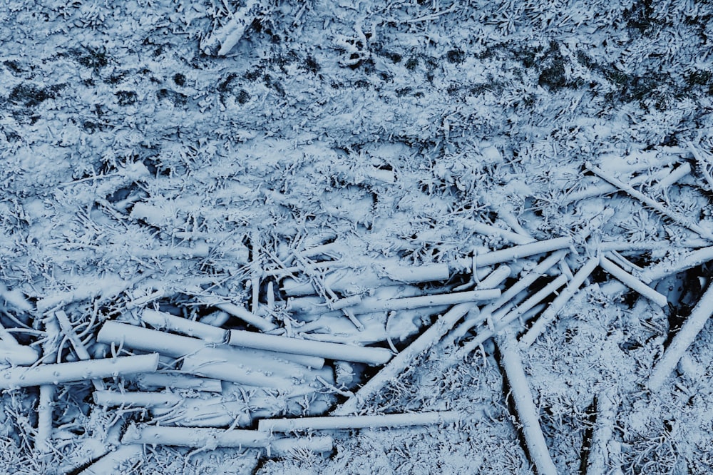 white wooden sticks on white sand