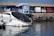 A modern boat with a sleek, black and white design is docked near a marina. Several cars are parked nearby, with a red car and a white van visible. There is a blue information kiosk displaying images of dolphins and marine life. The backdrop includes a stone breakwater and a concrete overpass.