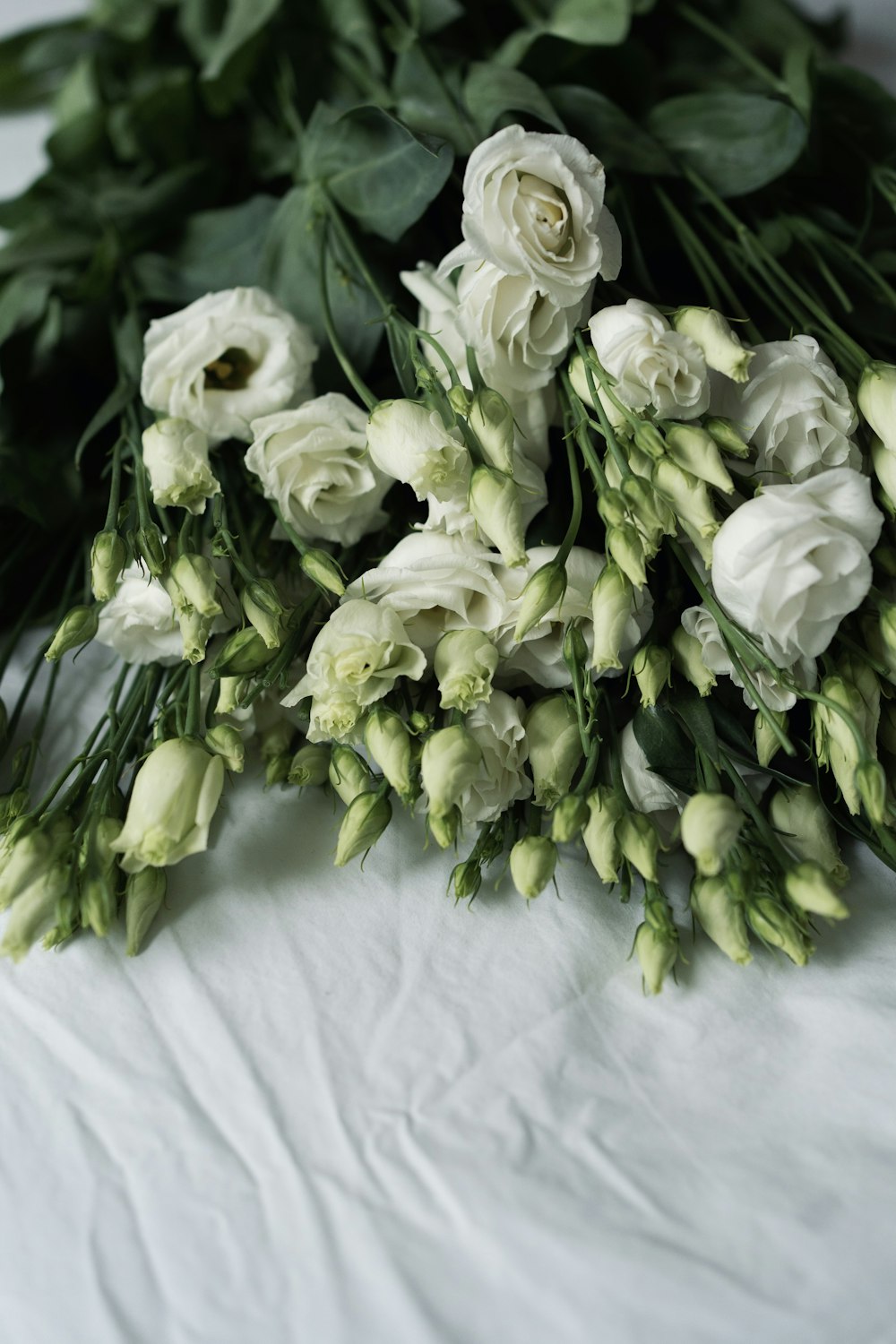 white roses on white textile