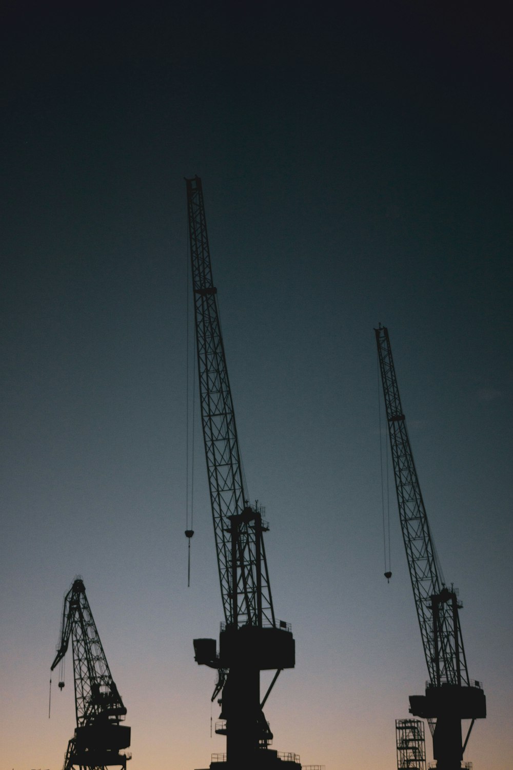 black crane under gray sky