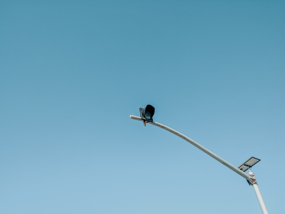 black bird on black steel light post under blue sky during daytime