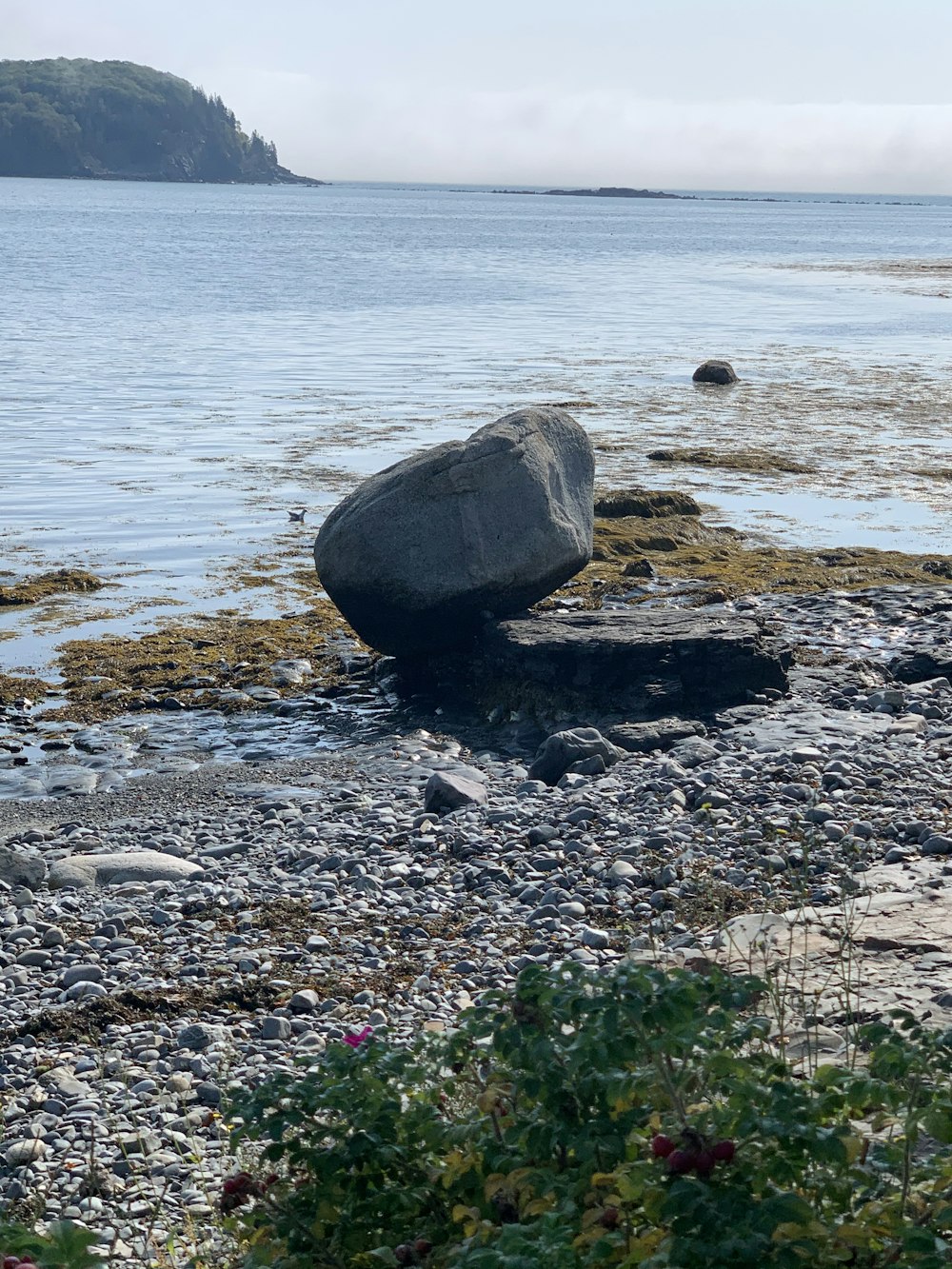 昼間の海岸の灰色の岩