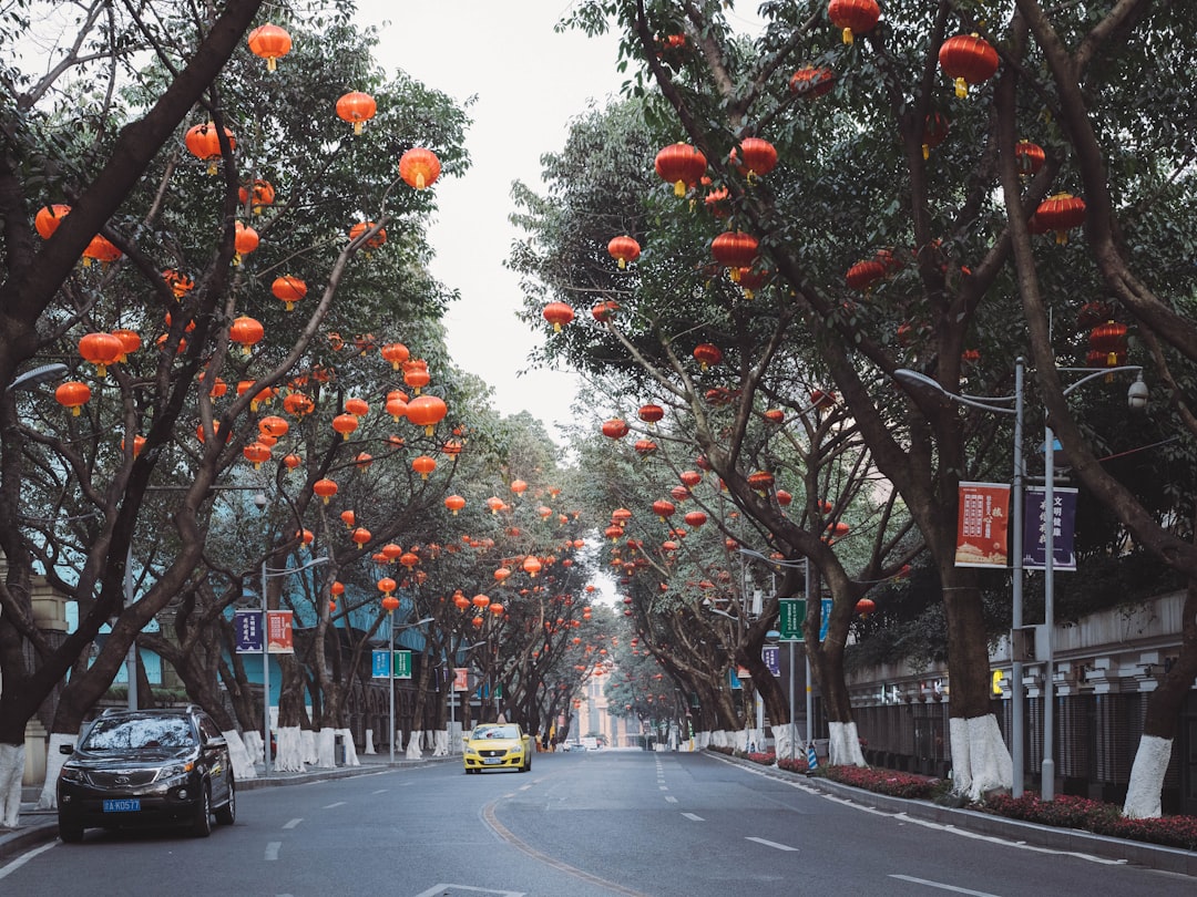 red and white trees on the street during daytime