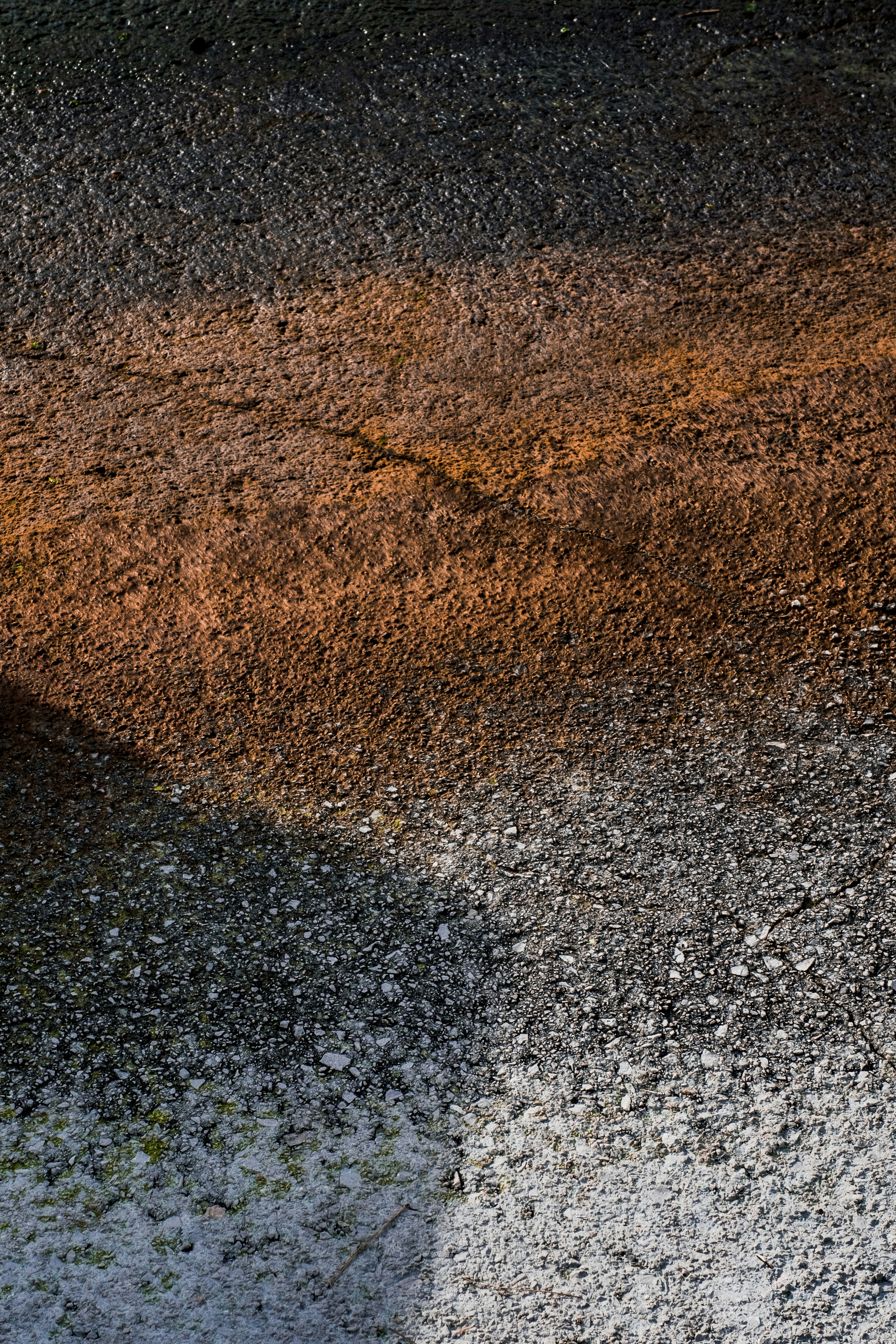 Photo by anxiousfilming