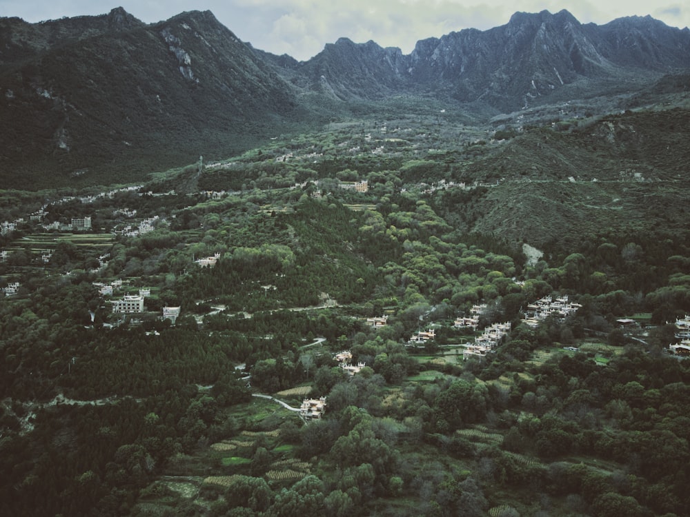 green grass covered mountain during daytime