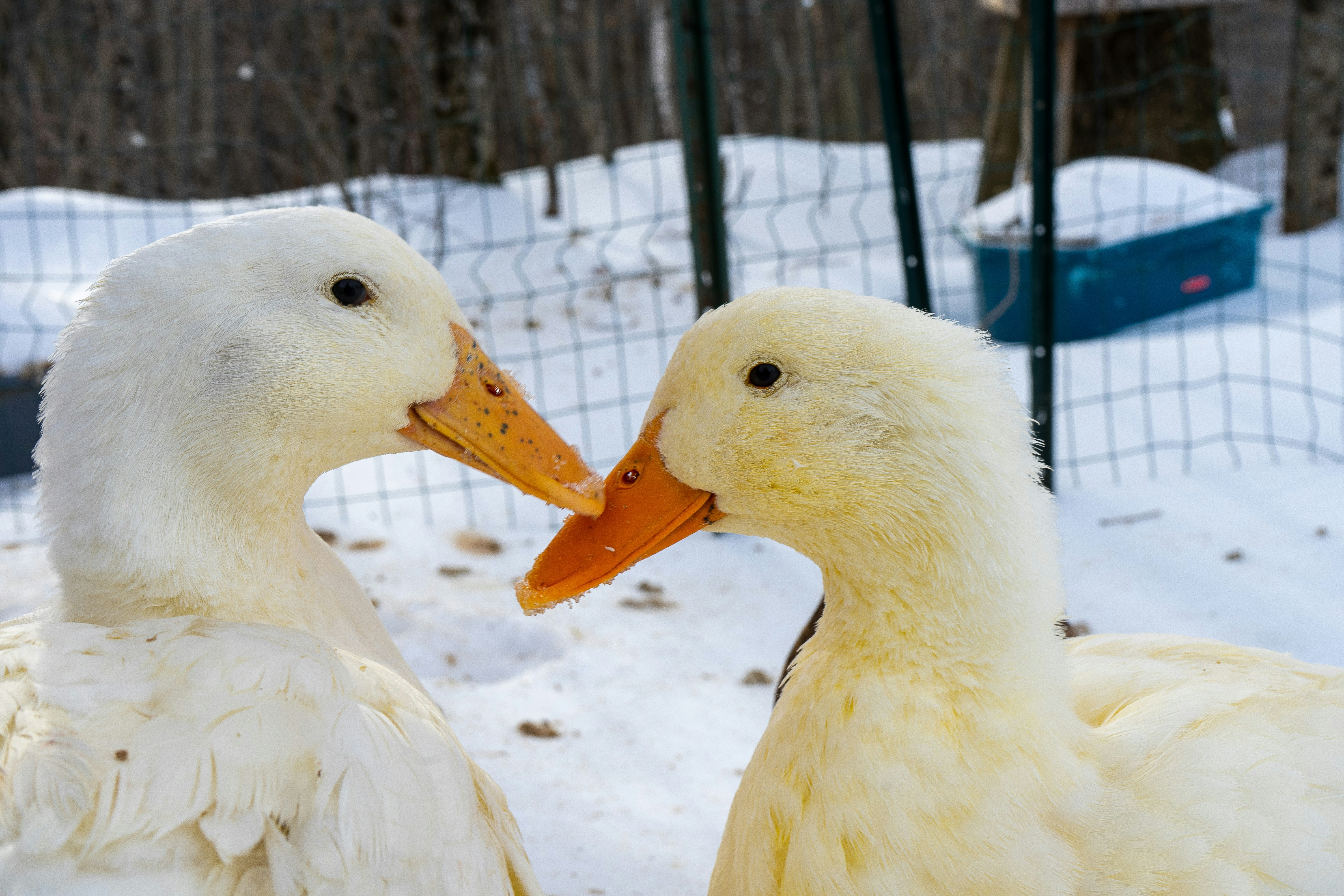 Photo by jazlyn_sage