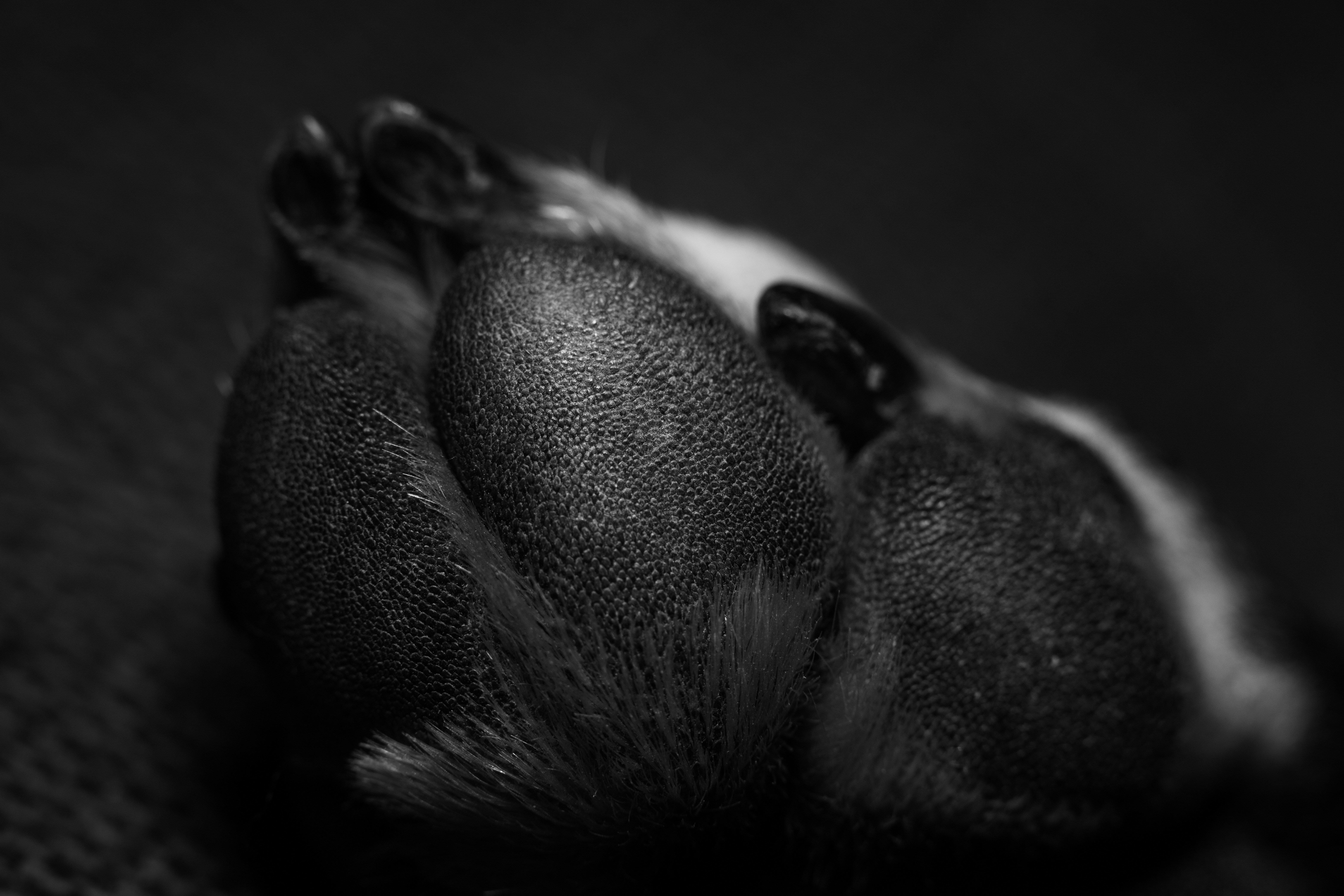 Photo by victor_vector