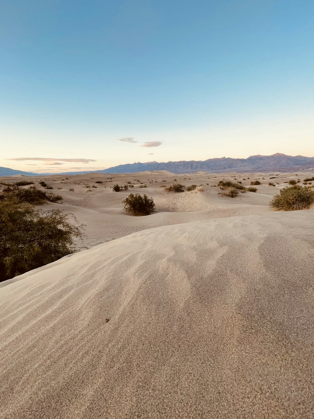 green grass on brown sand during daytime