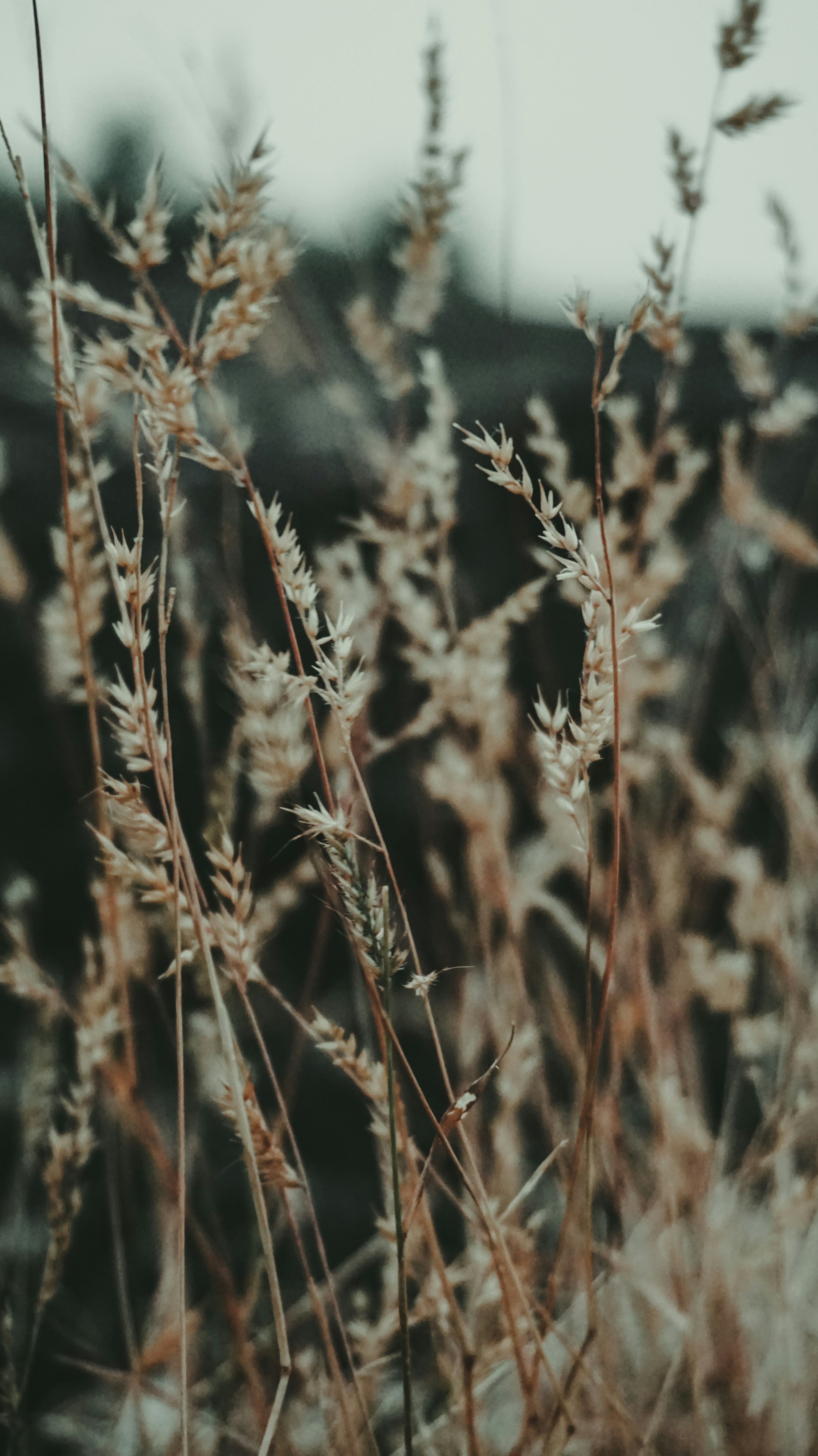 Photo by _navaneeth_j_