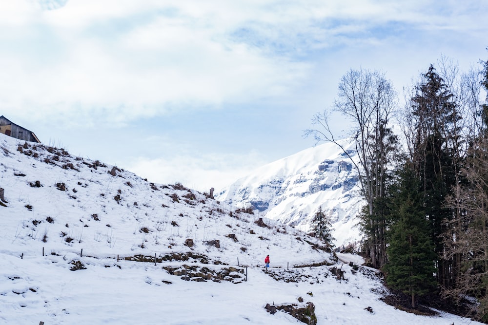 Menschen, die tagsüber auf schneebedecktem Boden spazieren gehen