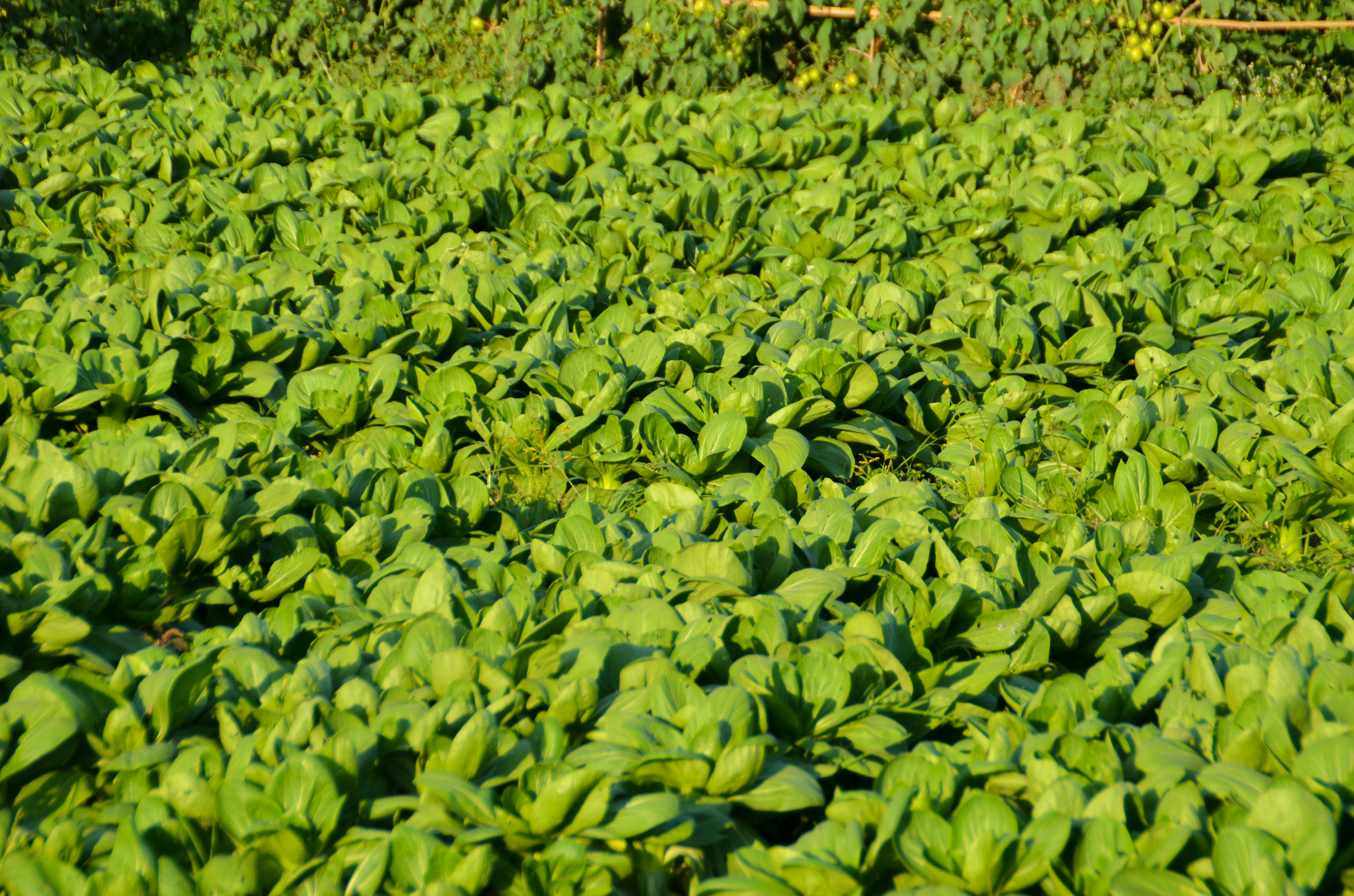 Photo by rey_creative