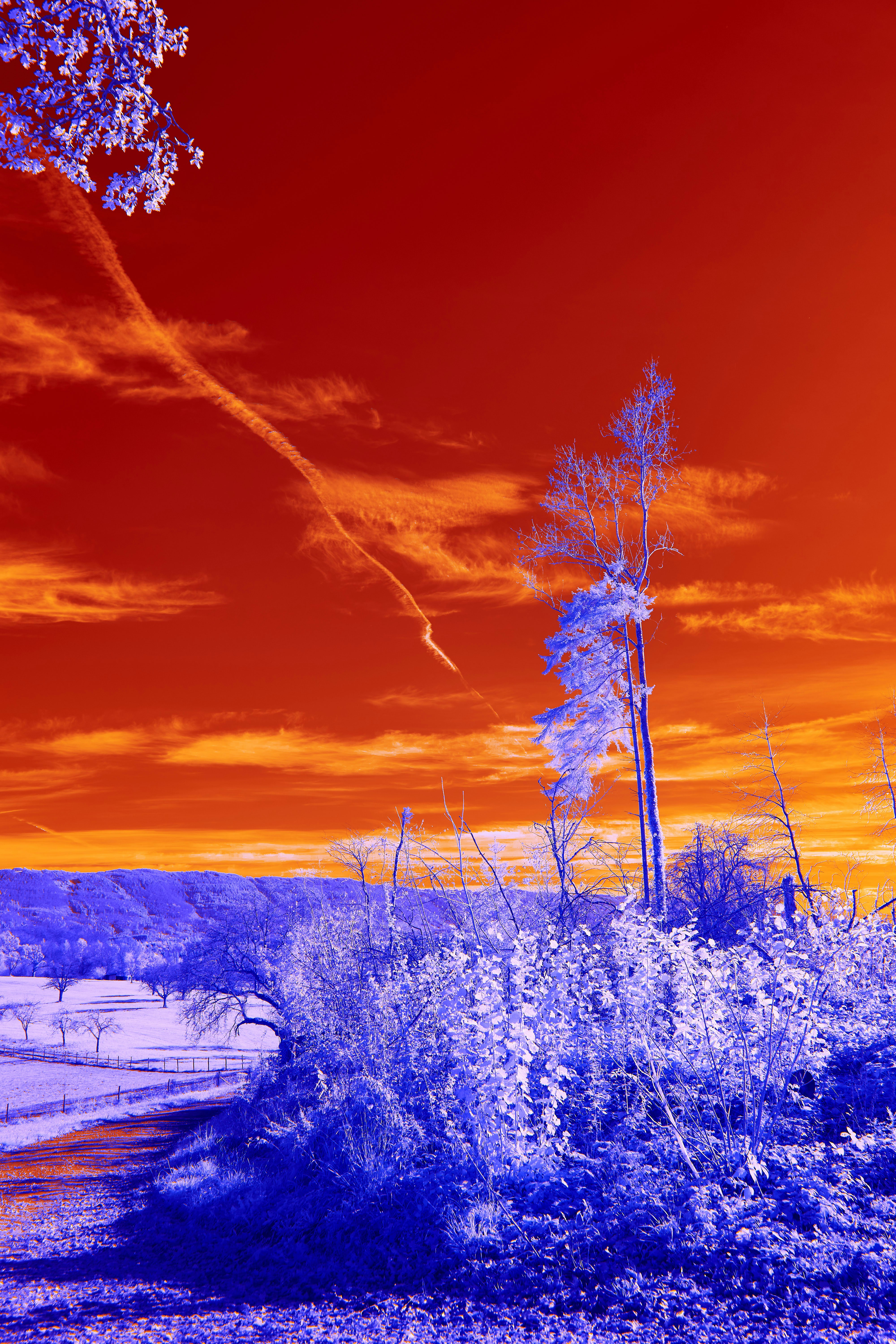 Photo by wolfgang_hasselmann