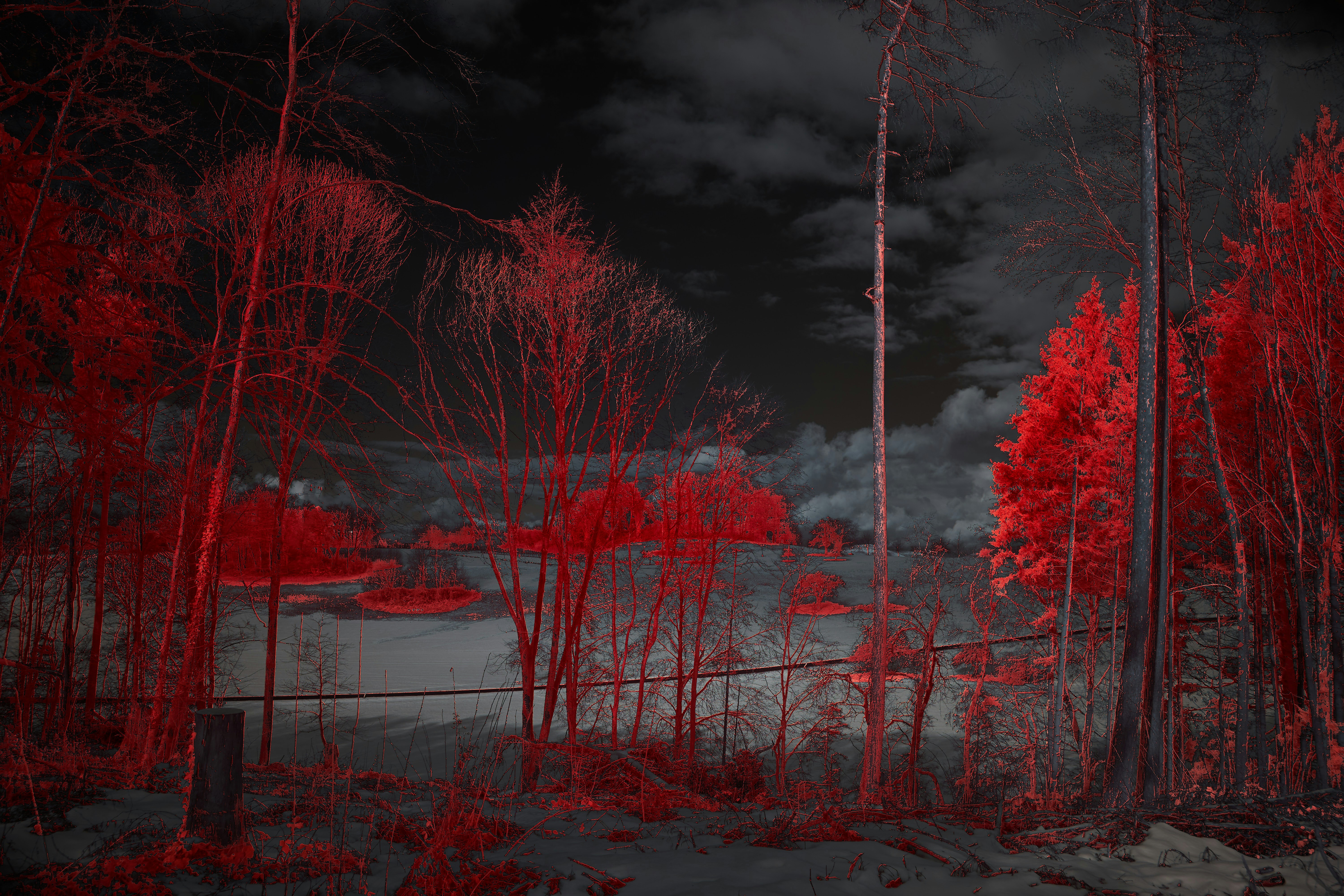 Photo by wolfgang_hasselmann