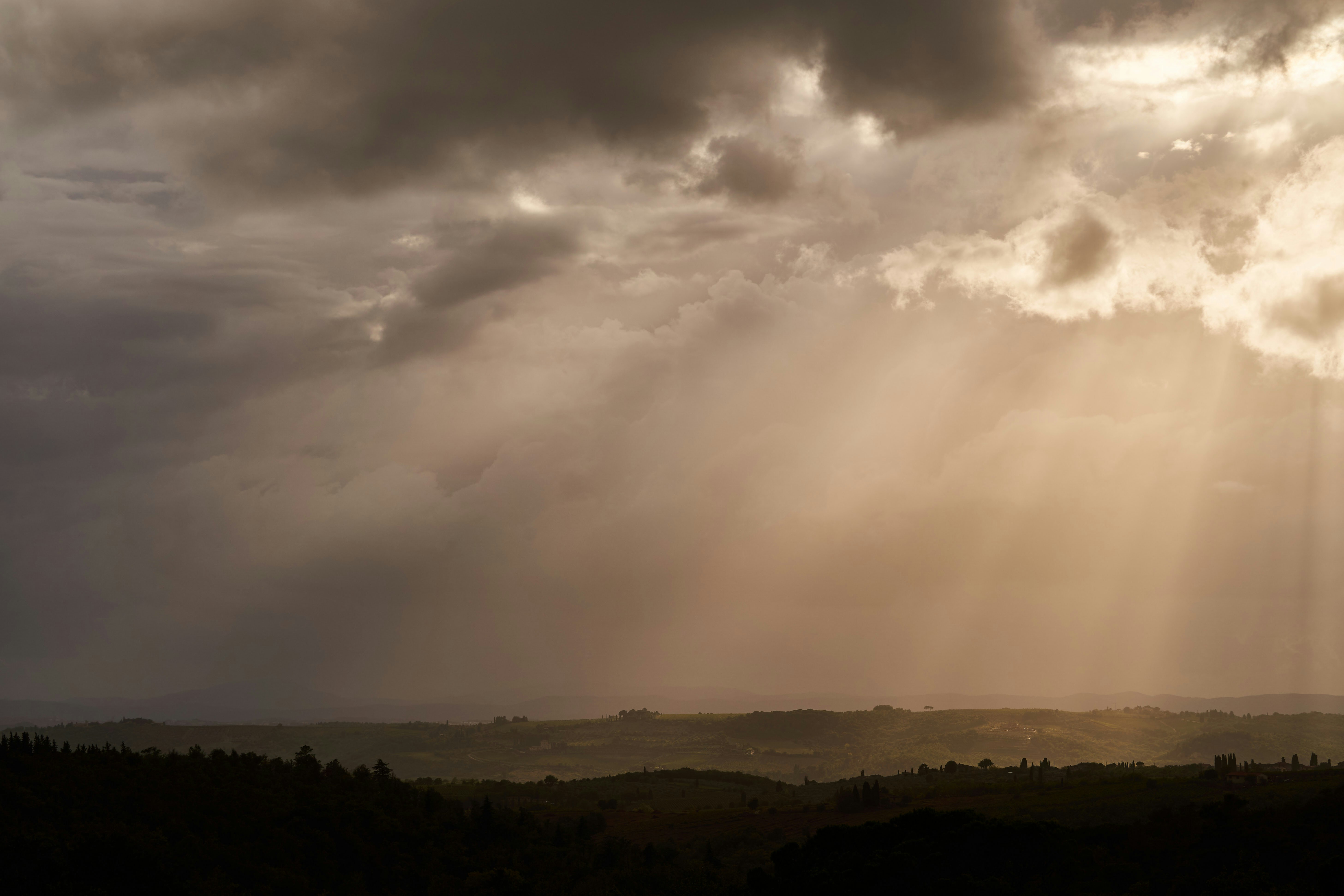 Photo by wolfgang_hasselmann