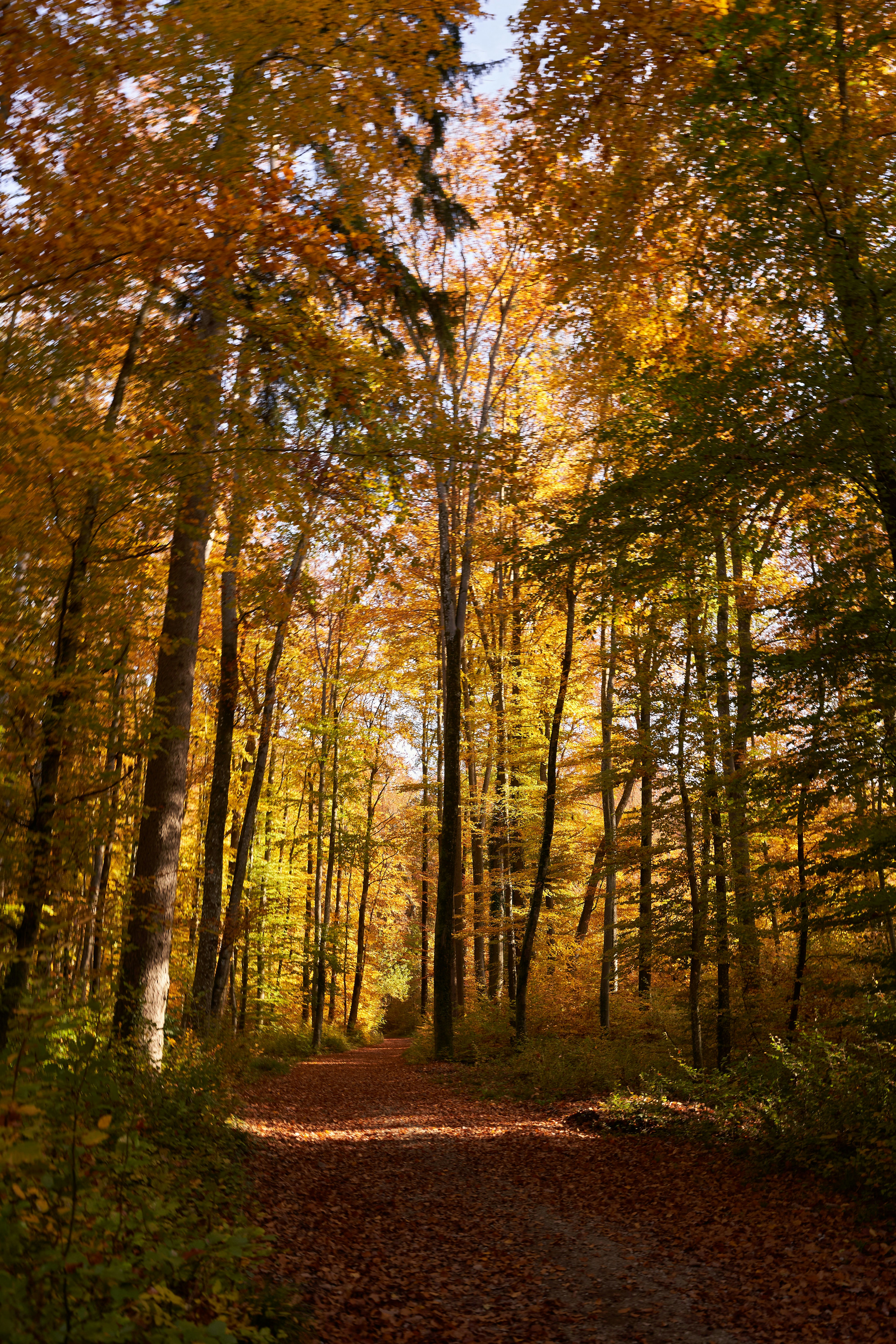 Photo by wolfgang_hasselmann