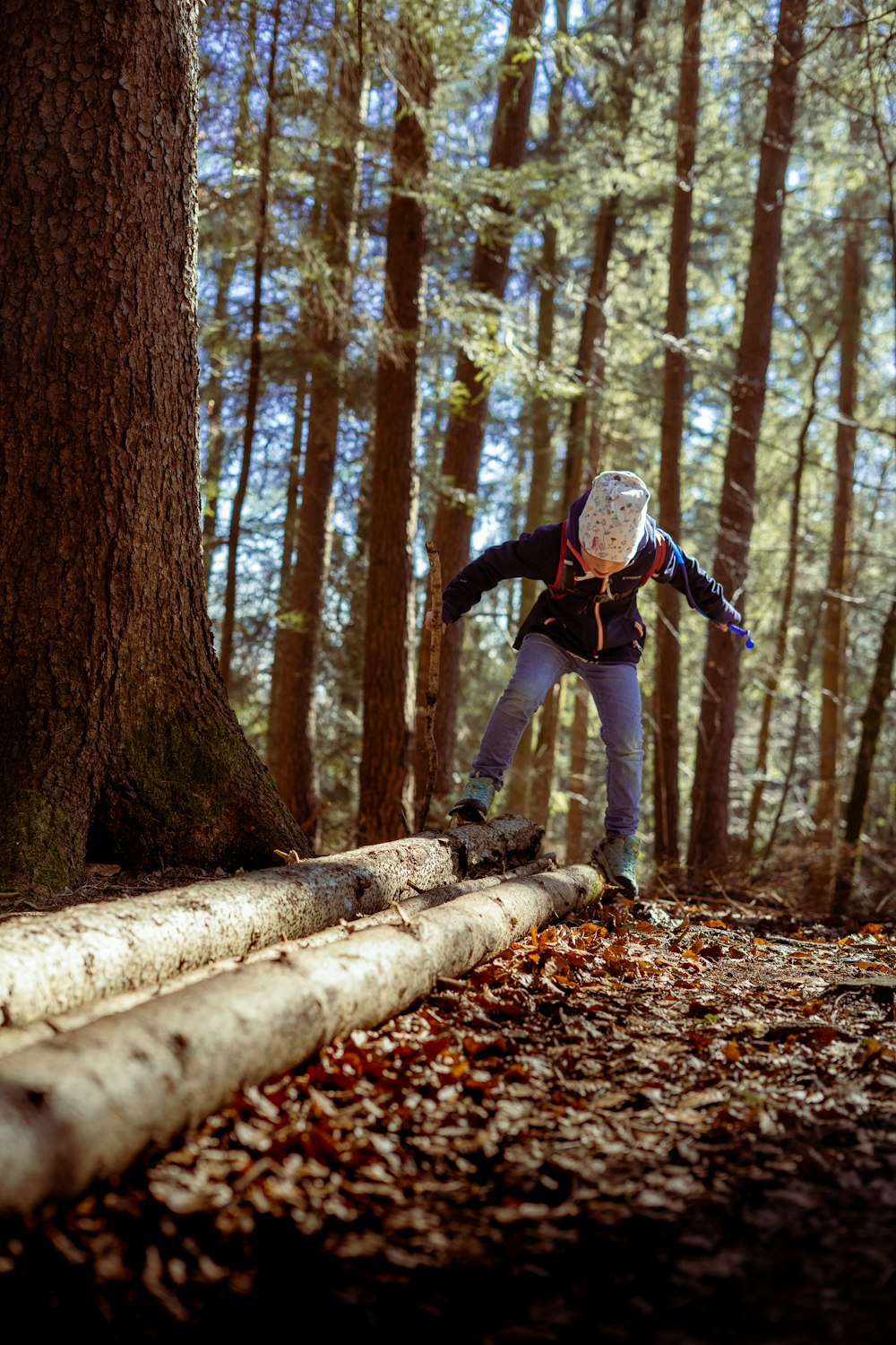 man in black jacket and black pants standing on brown tree log during daytime