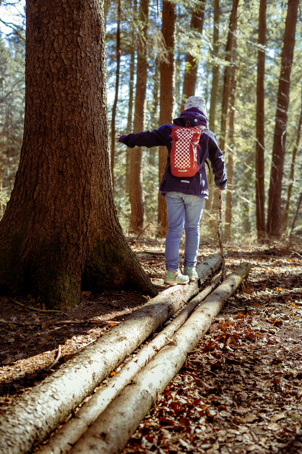 homme en veste rouge et noire et jean bleu debout sur un tronc d’arbre pendant la journée