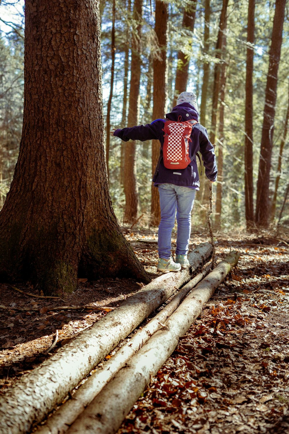 man in red and black jacket and blue denim jeans standing on tree log during daytime