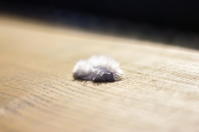 Close-up of an electric lint remover gently cleaning a sweater surface