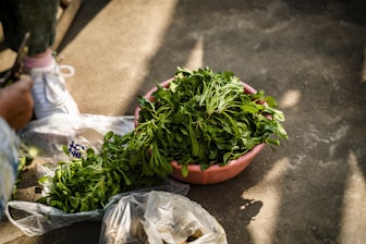 green and red chili on brown plastic basket