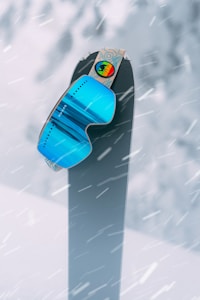 Alpine Chill Guard