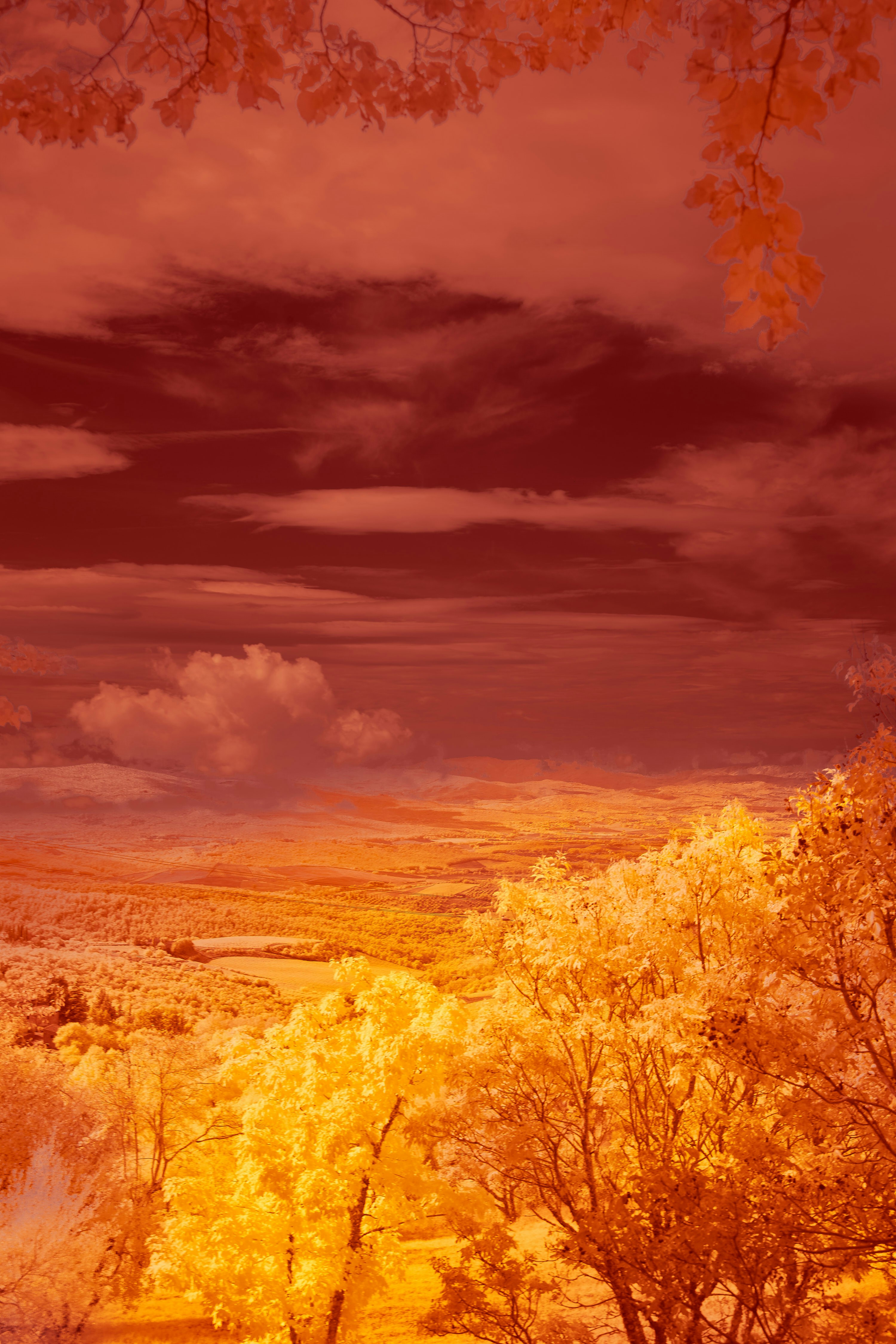 Photo by wolfgang_hasselmann