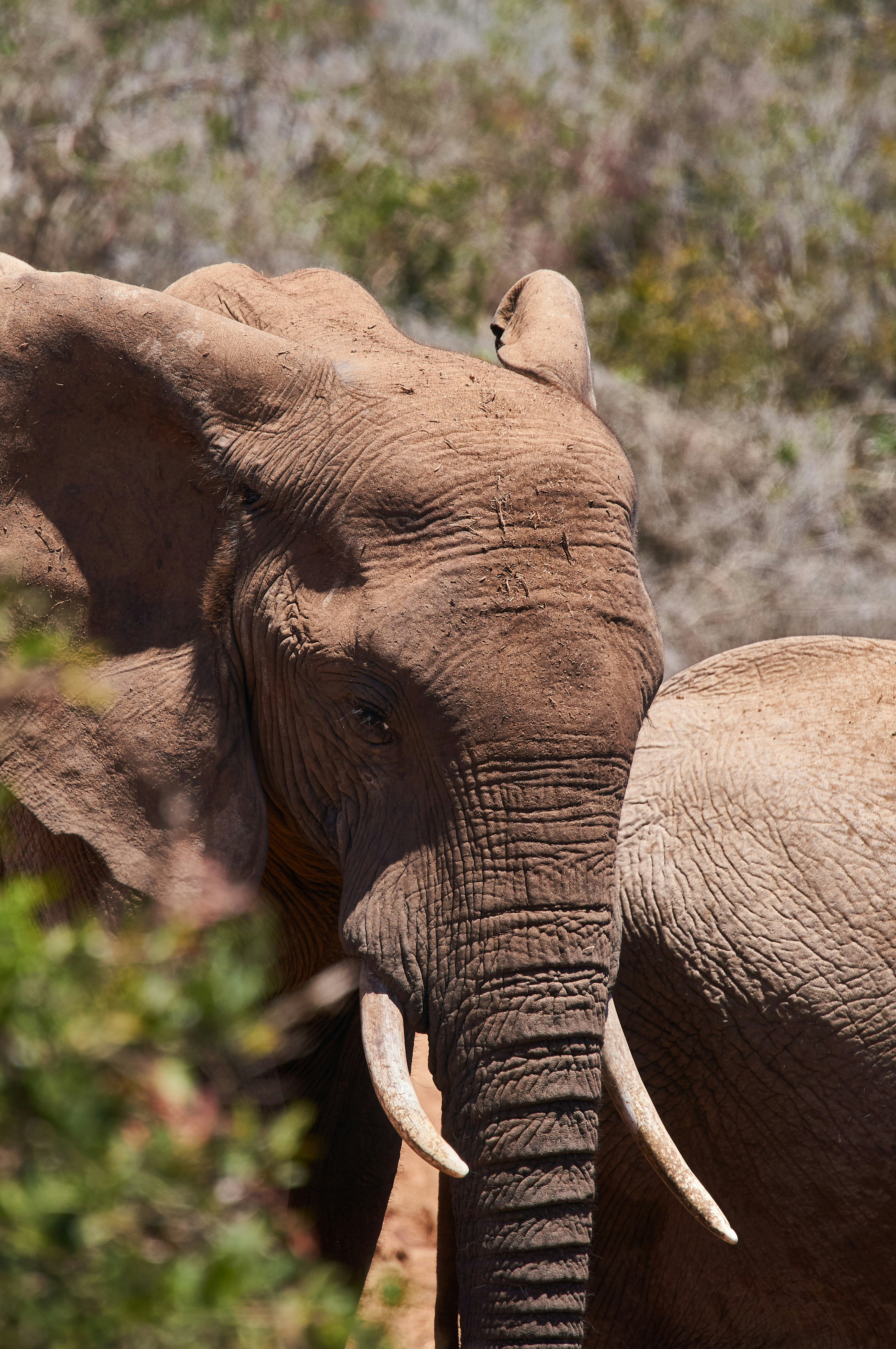 Photo by wolfgang_hasselmann