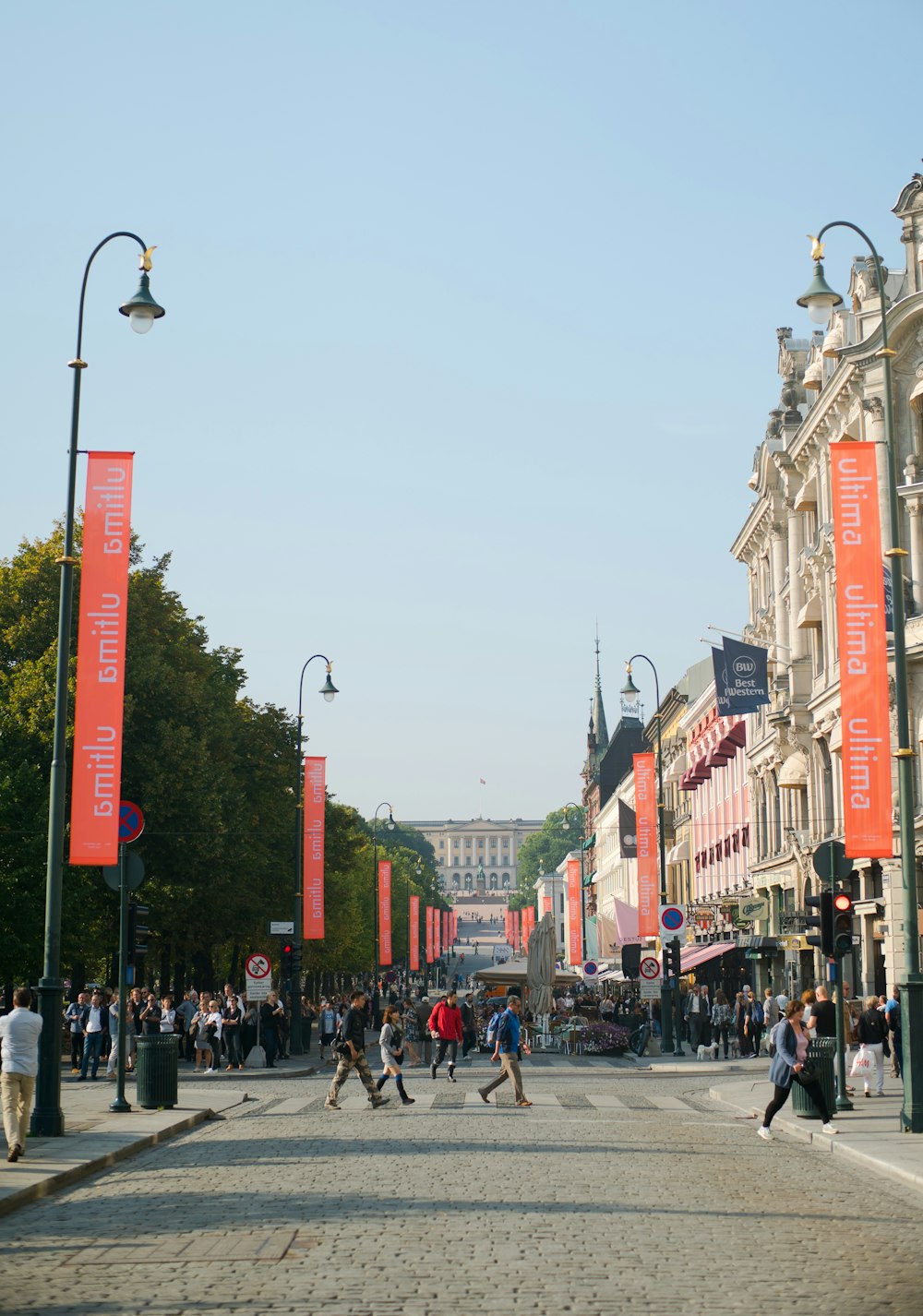 people walking on street during daytime