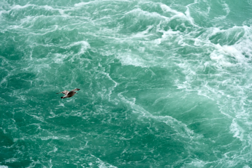 man surfing on blue sea during daytime