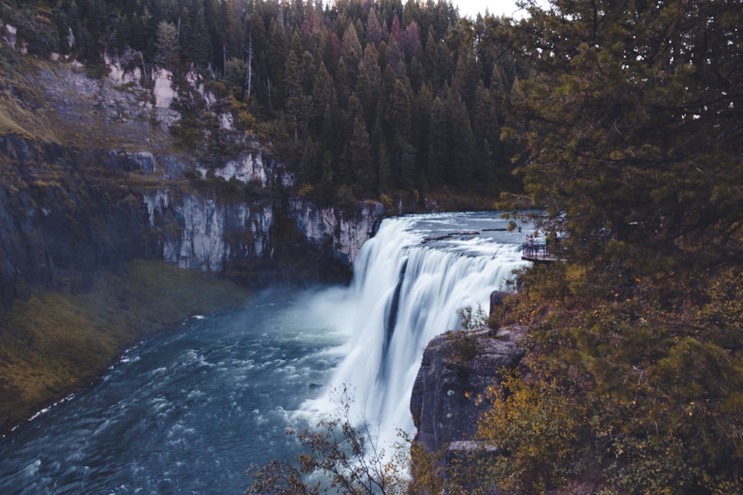 waterfalls in the middle of forest