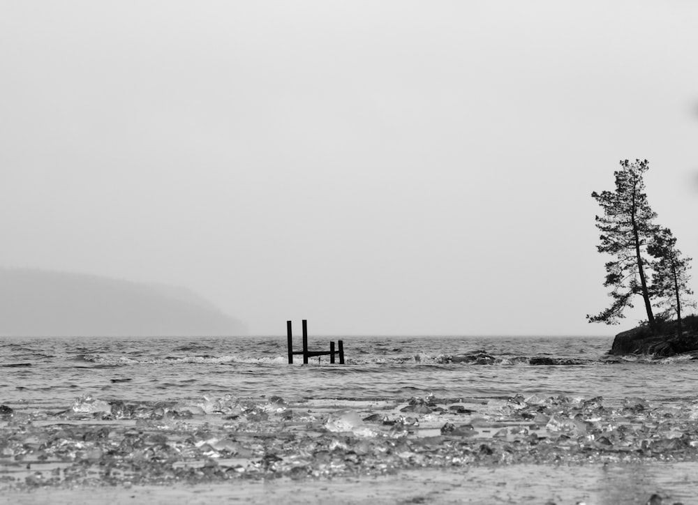 person standing on wooden dock on sea during daytime