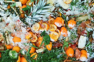 sliced orange fruits on green leaves